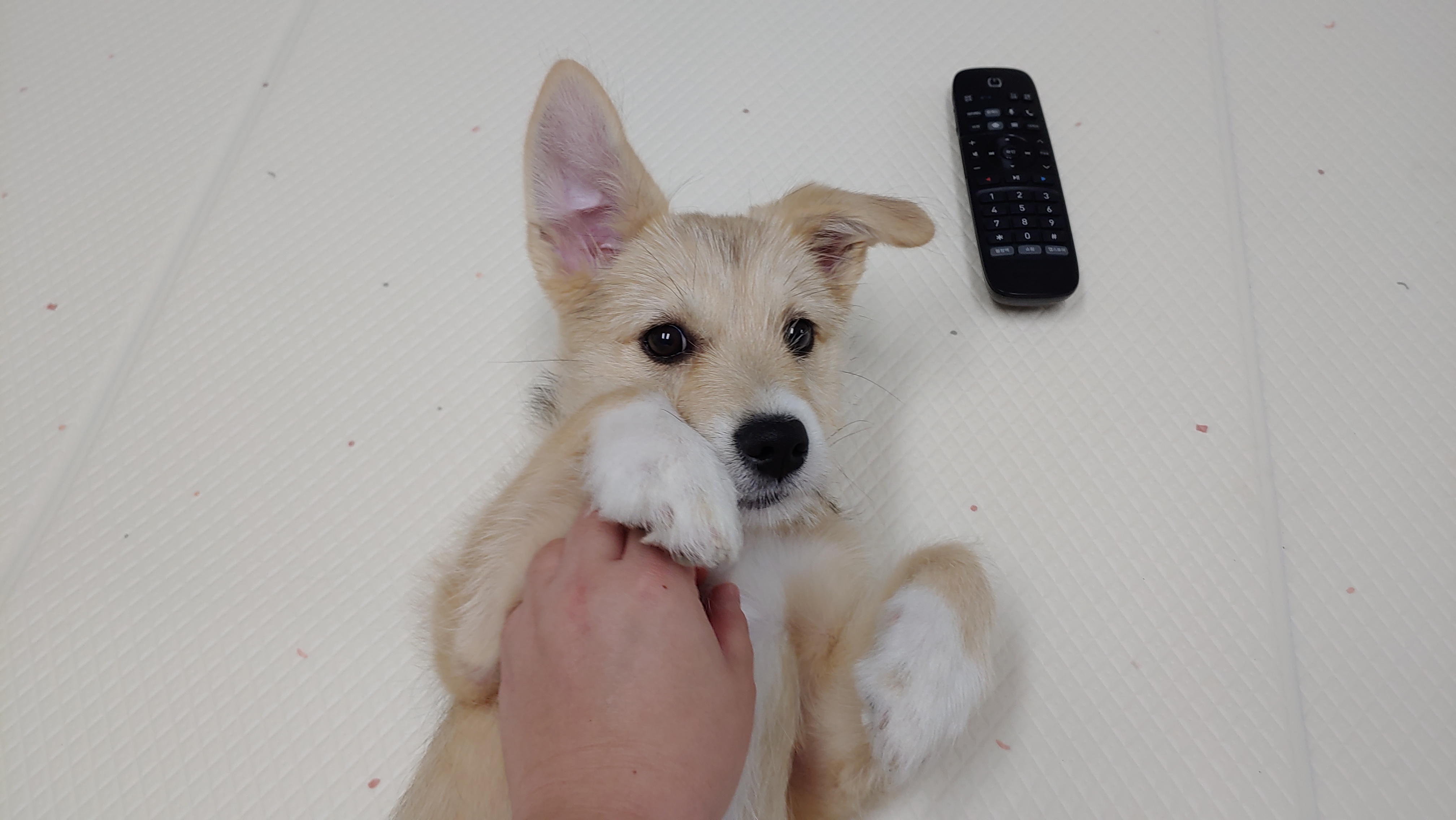 미루 (마노) 한 달 이야기