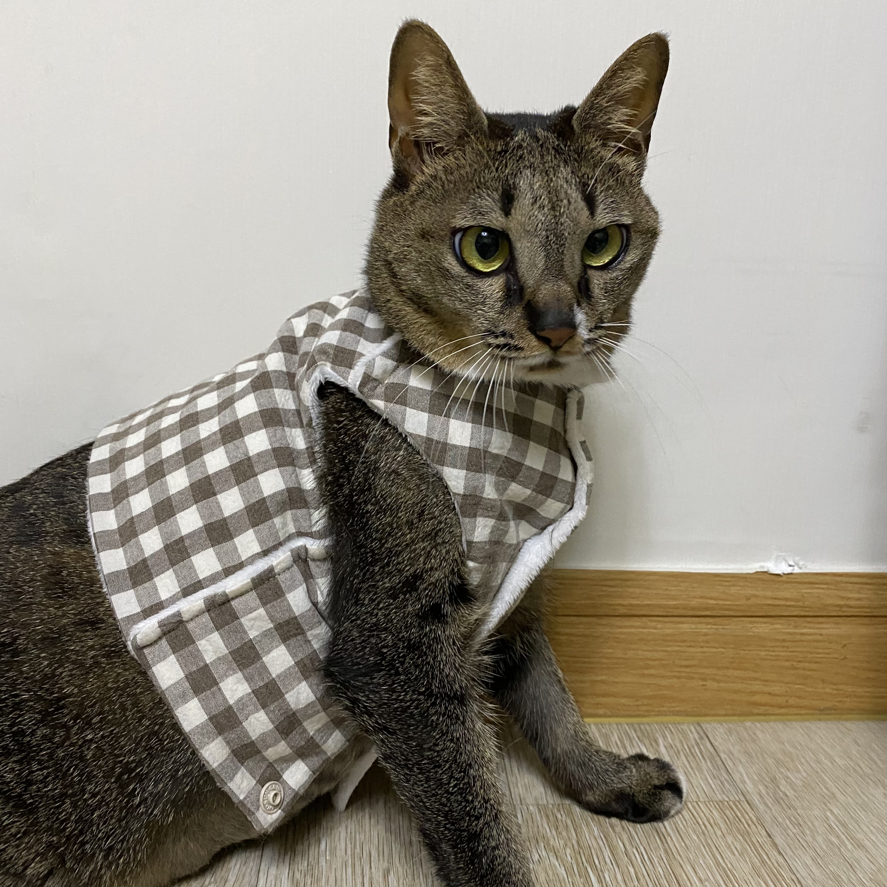 그루 벌써 입양 2년이 되었어요. 