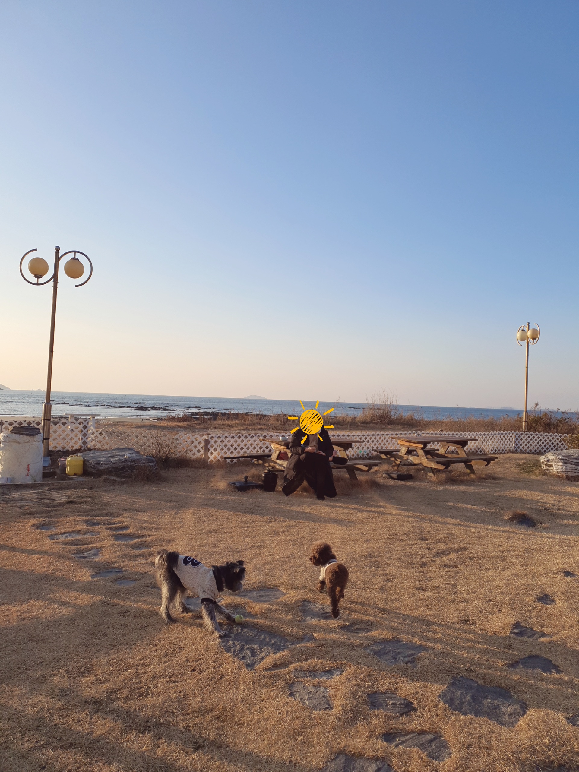 로니(비비빅) 1년차 입양후기