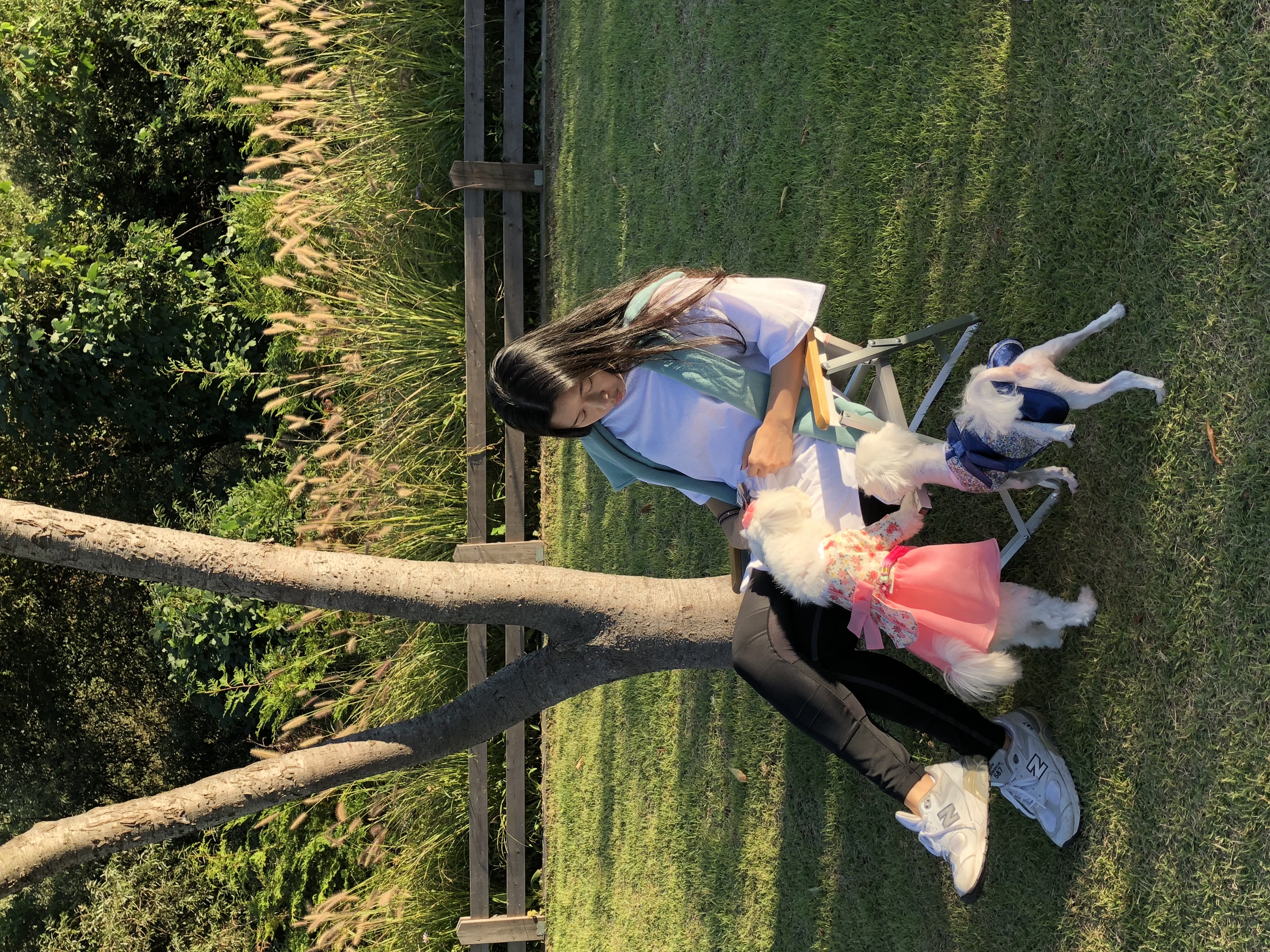 은동이,라떼 3년