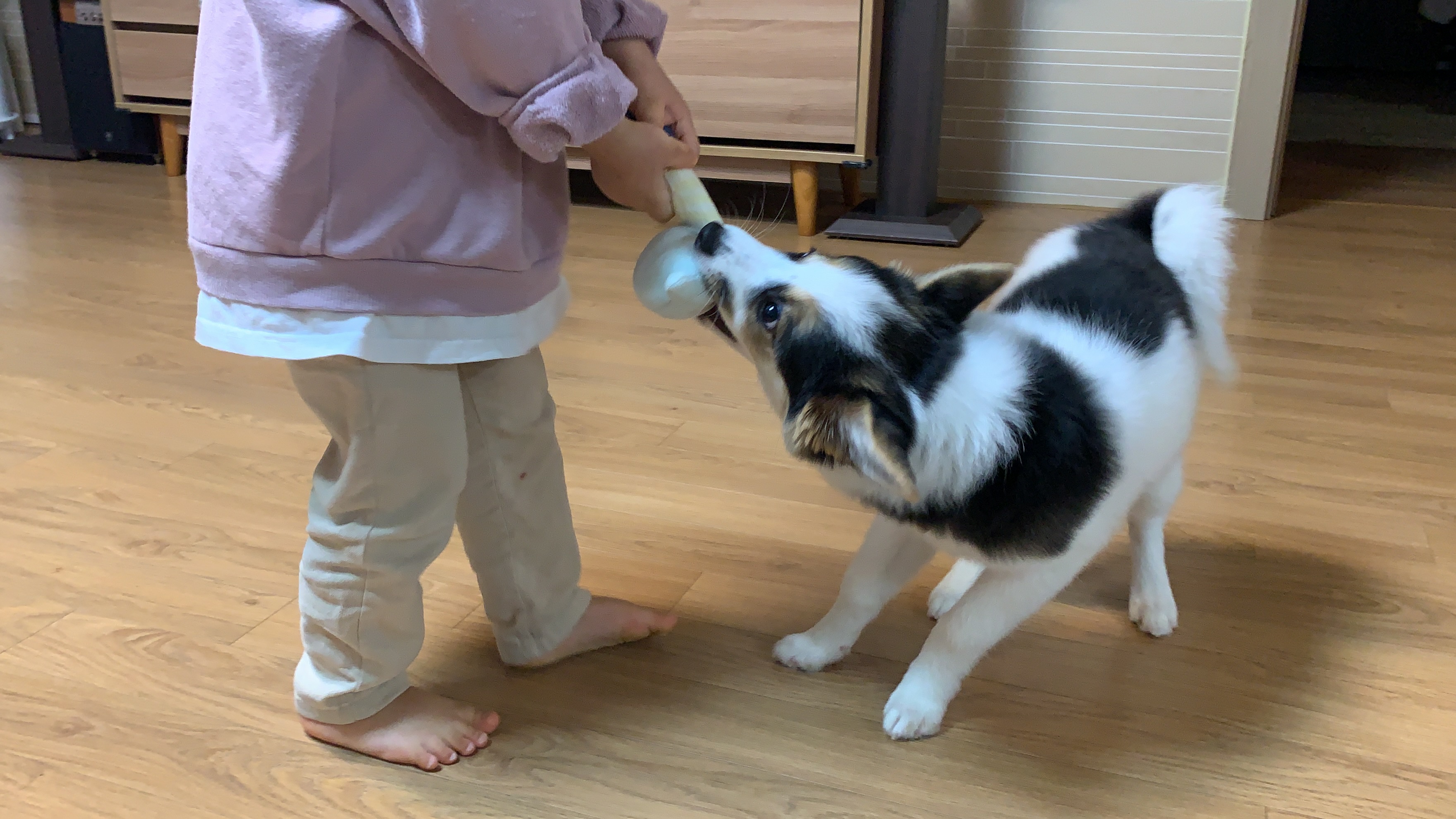 마블이 입양 한 달 이야기