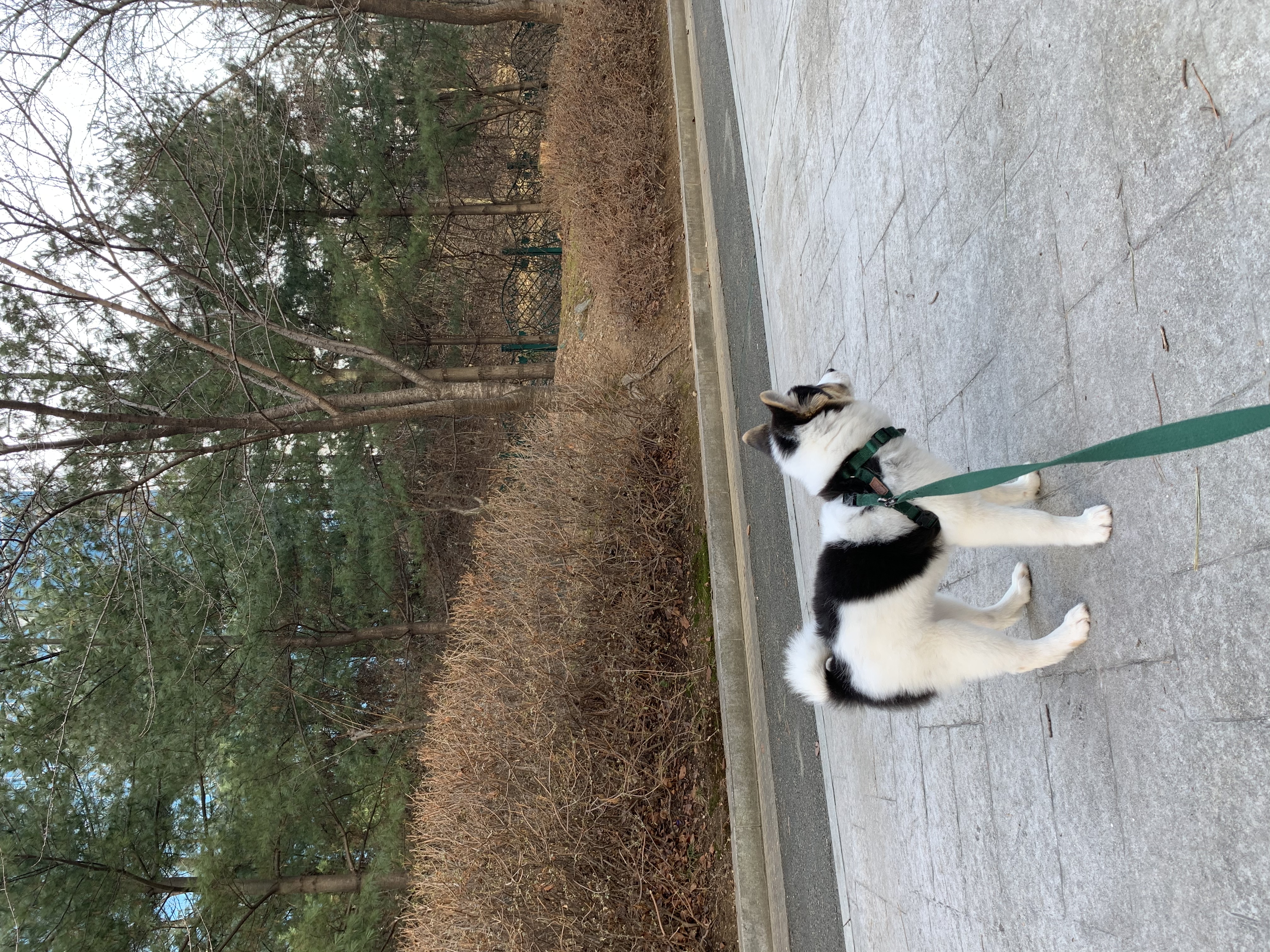 마블이 입양 한 달 이야기