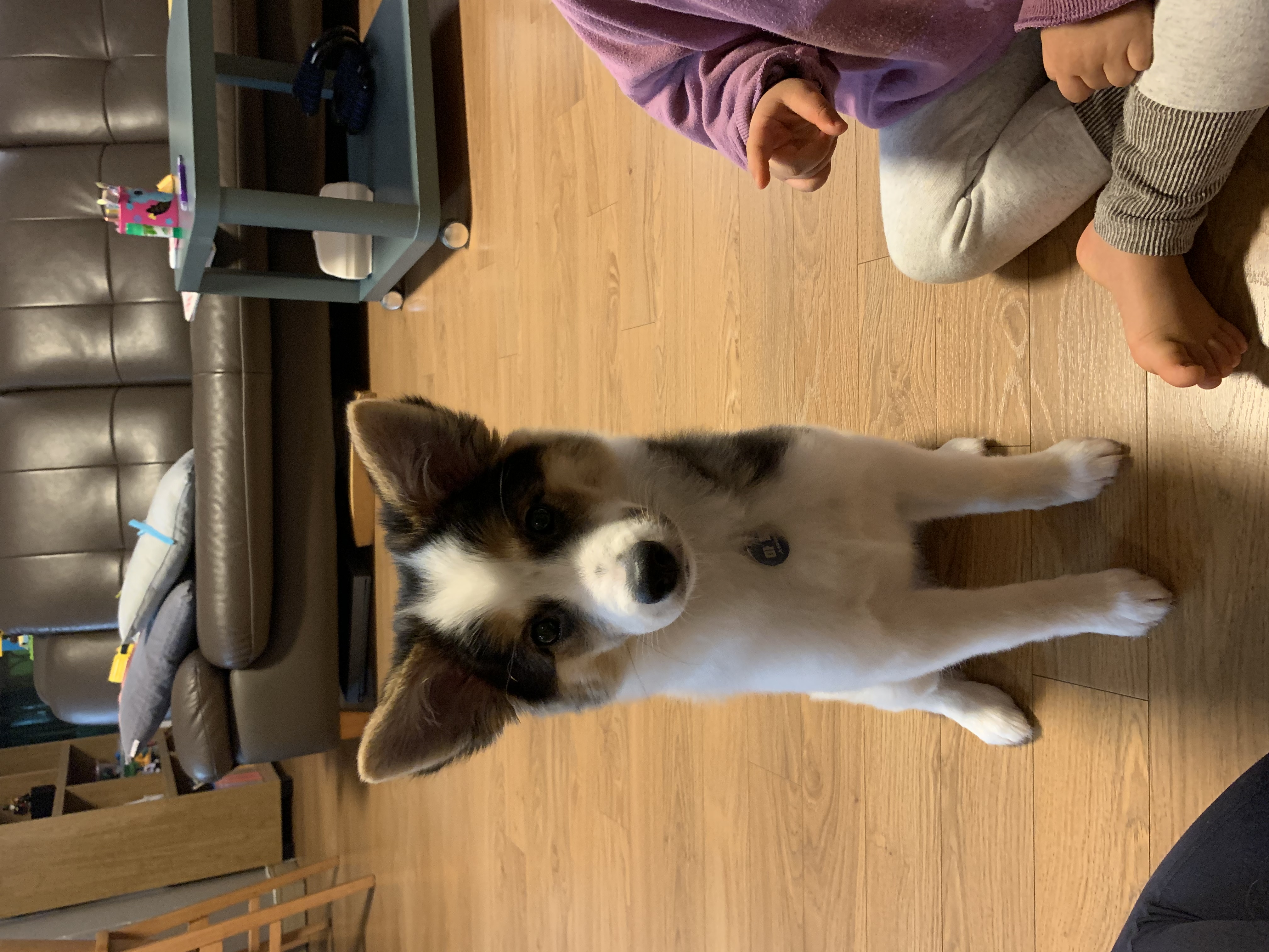 마블이 입양 한 달 이야기