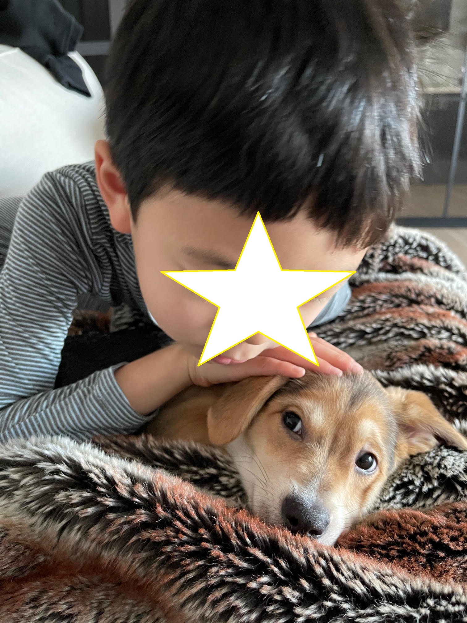 마초 입양 일주일 후기