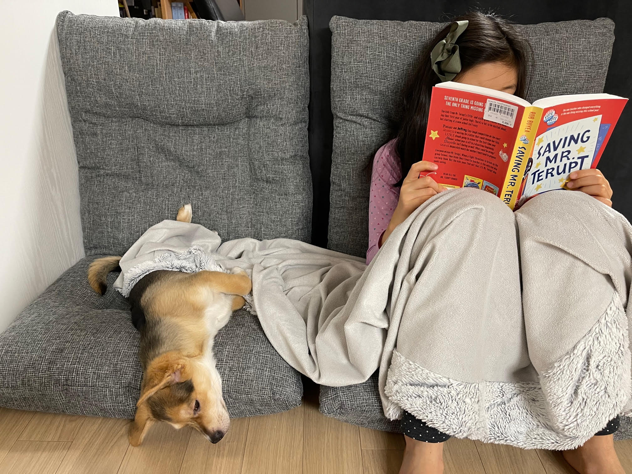 마초 입양 일주일 후기