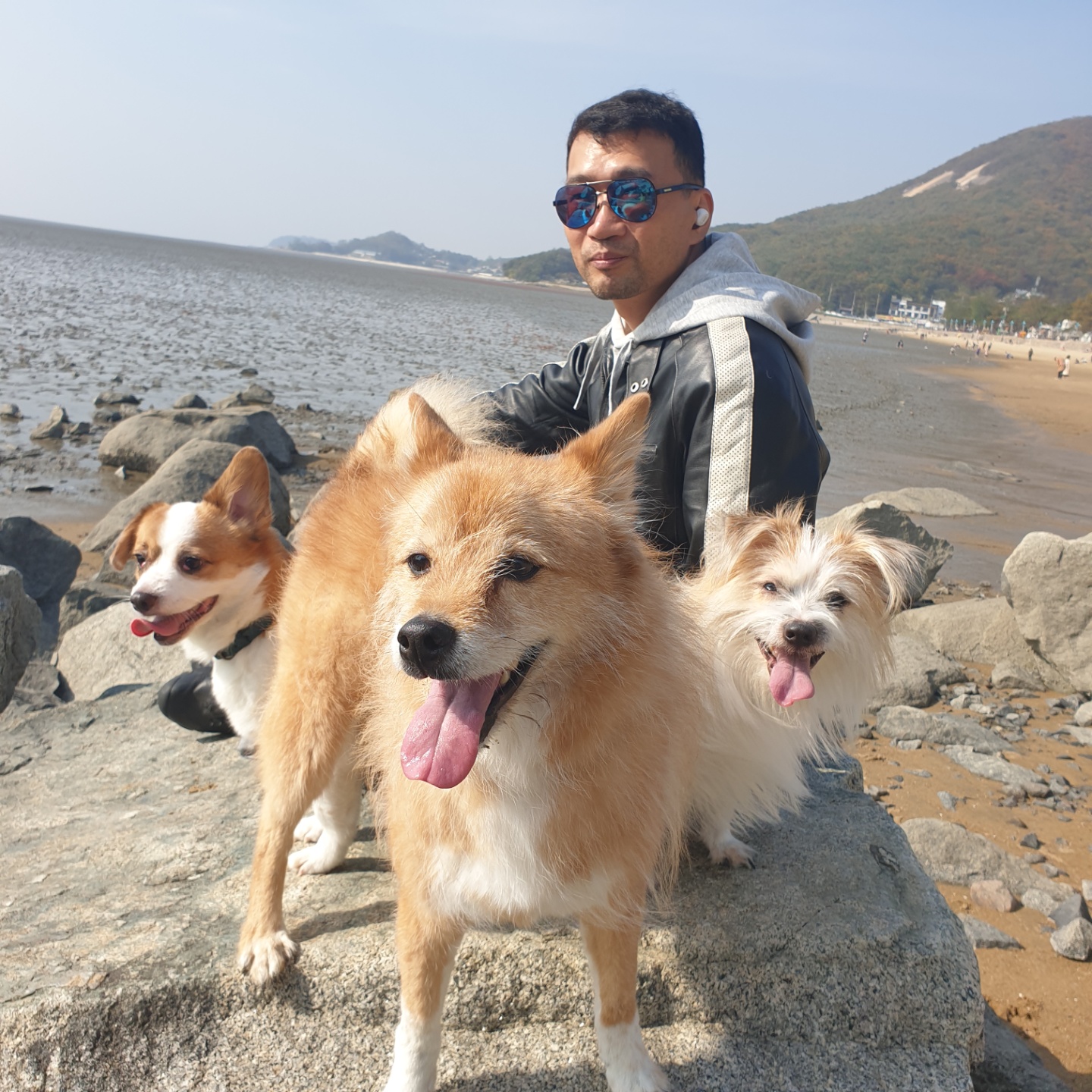 누렁이 입양 후 10년...