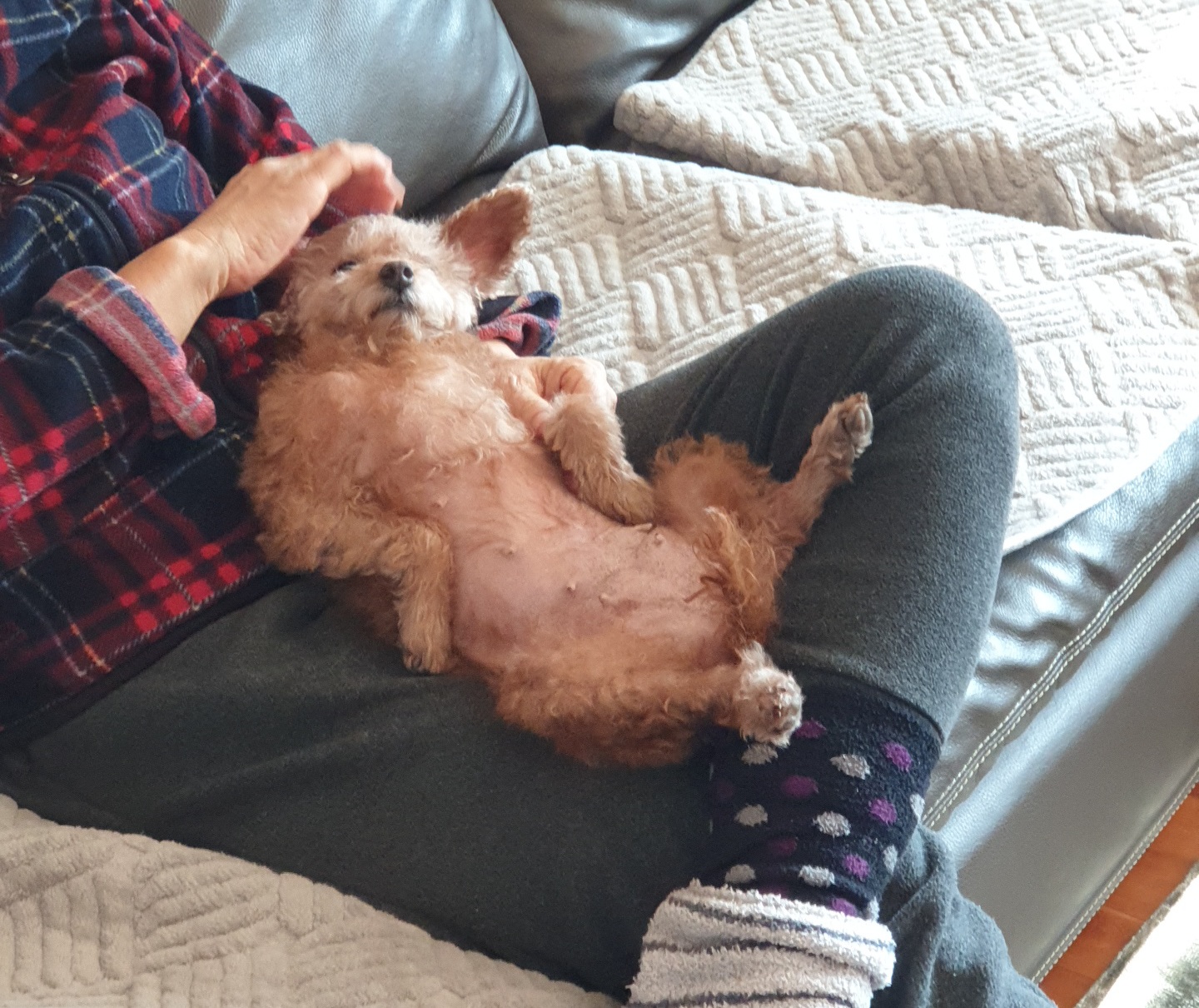 은동(모들)이 입양 1주년