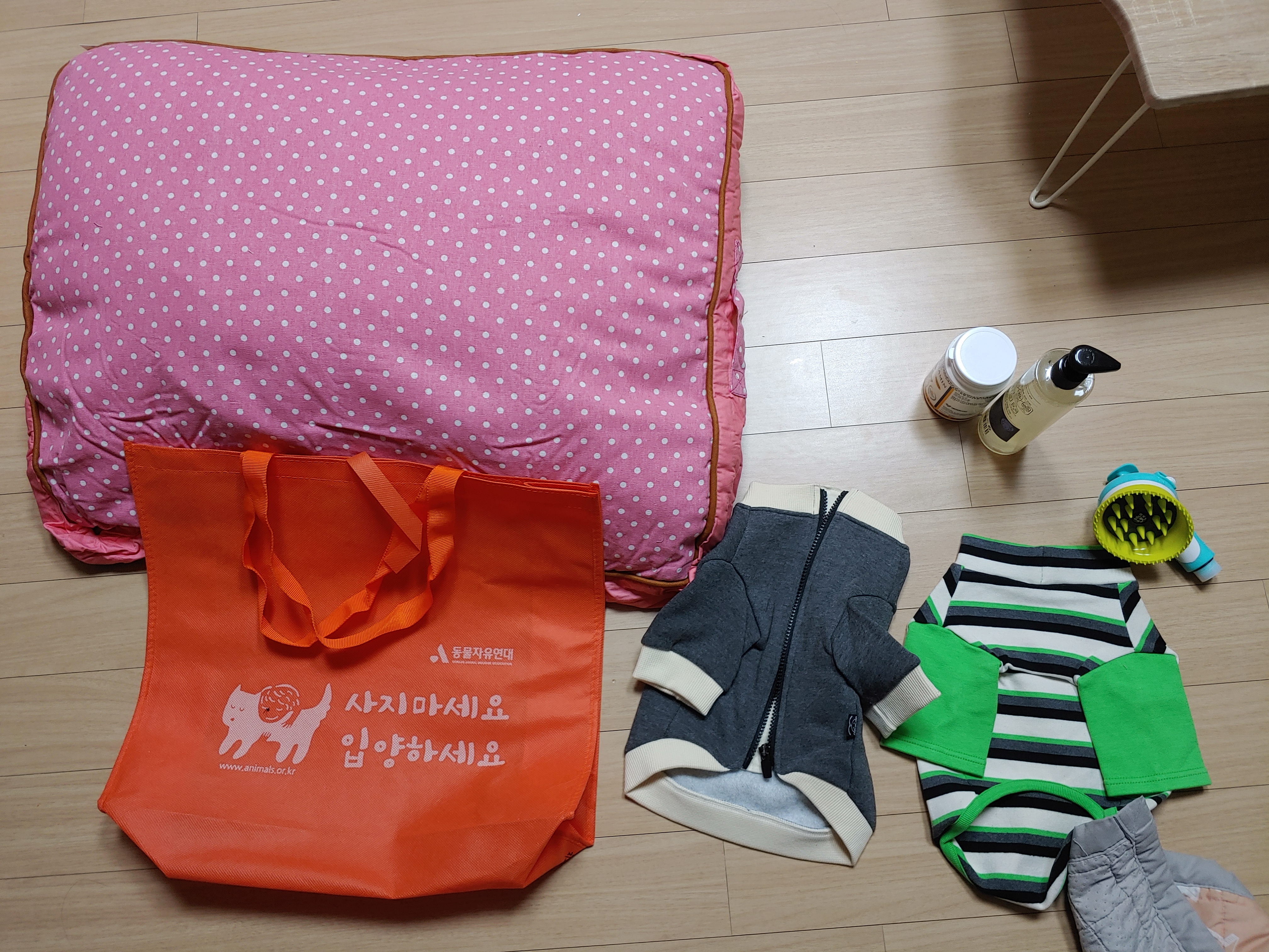 해피 크리스마스 선물 받은 치즈