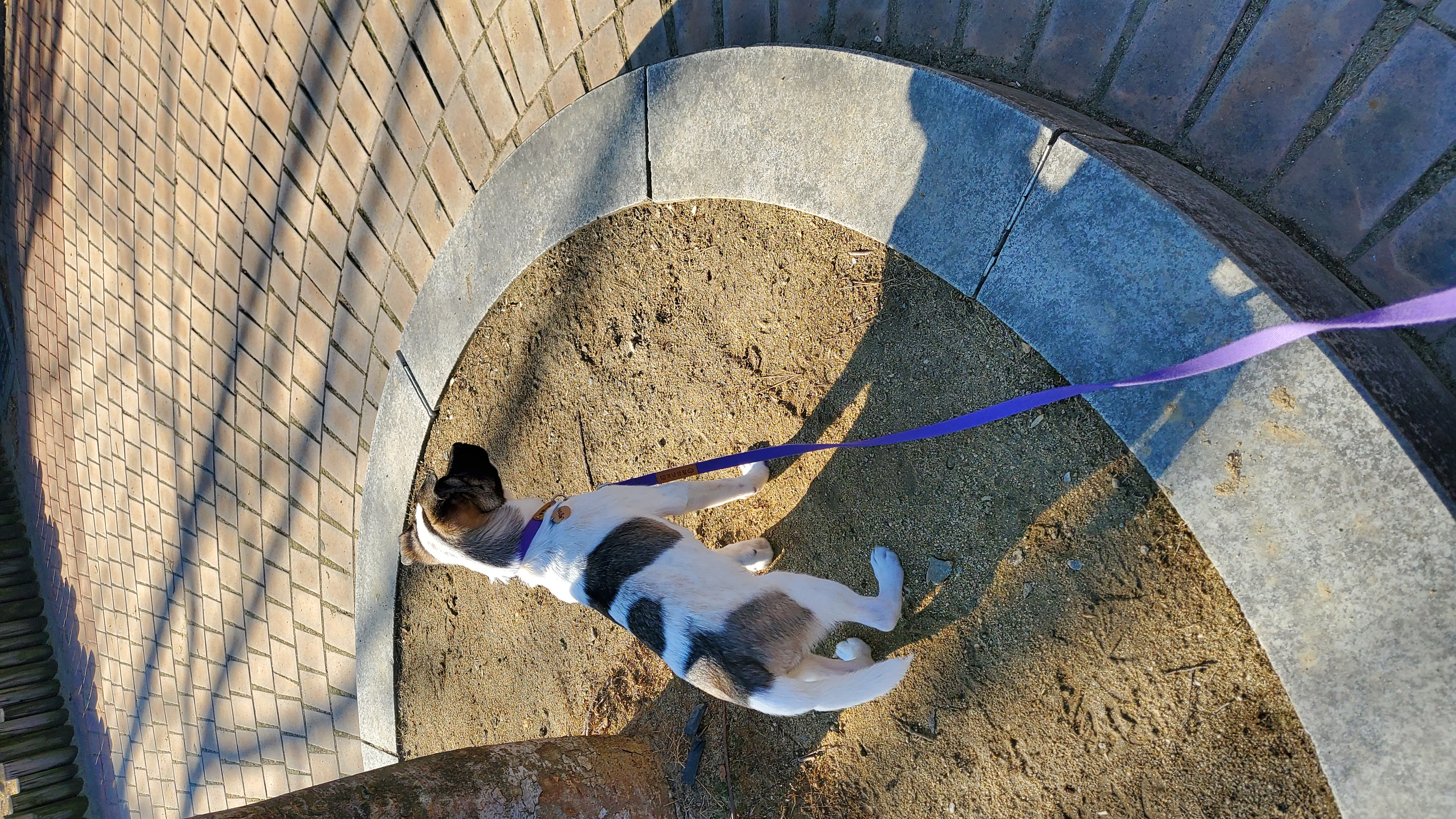 레레(빵야) 한달 😁