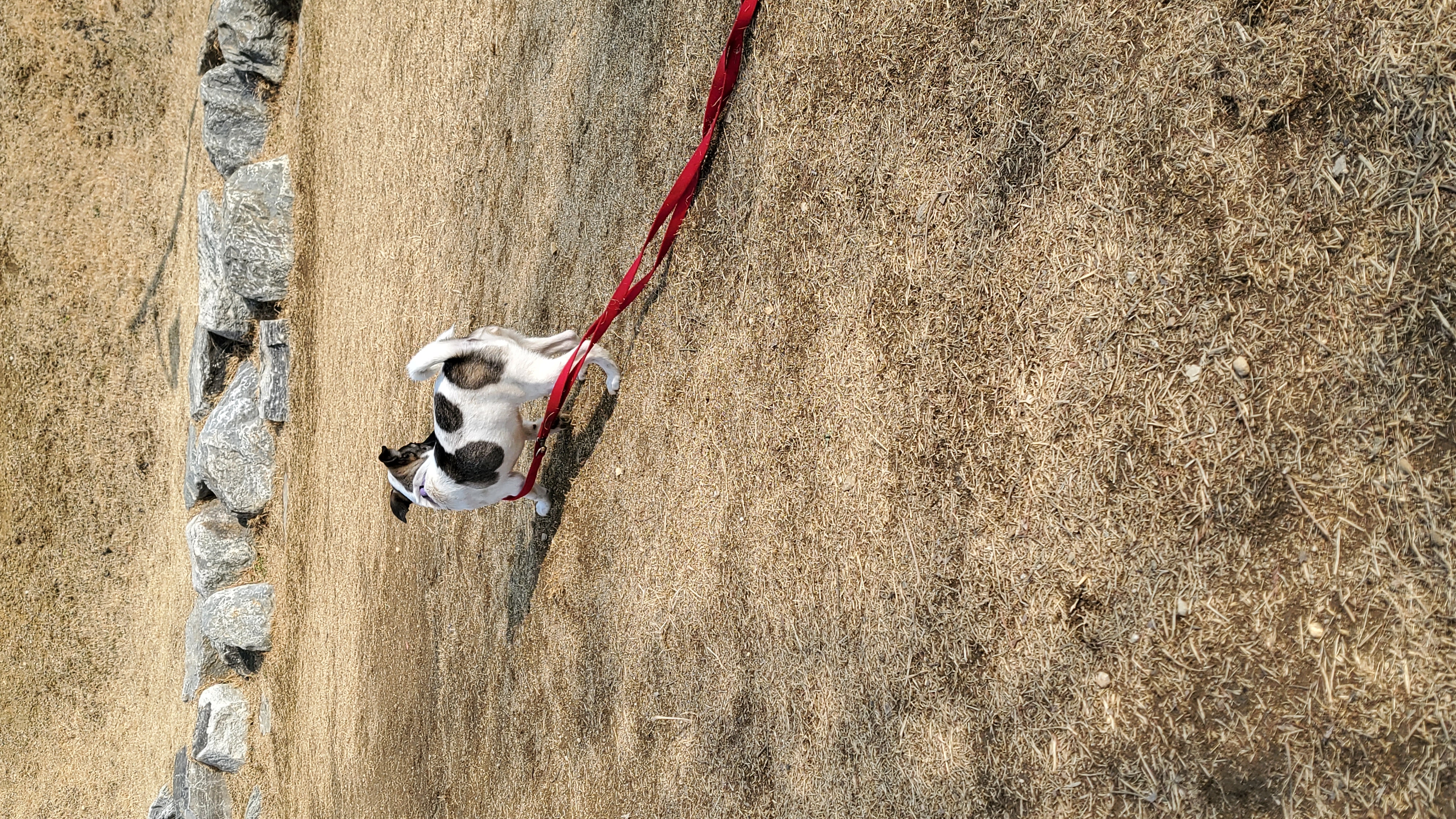 레레(빵야) 한달 😁