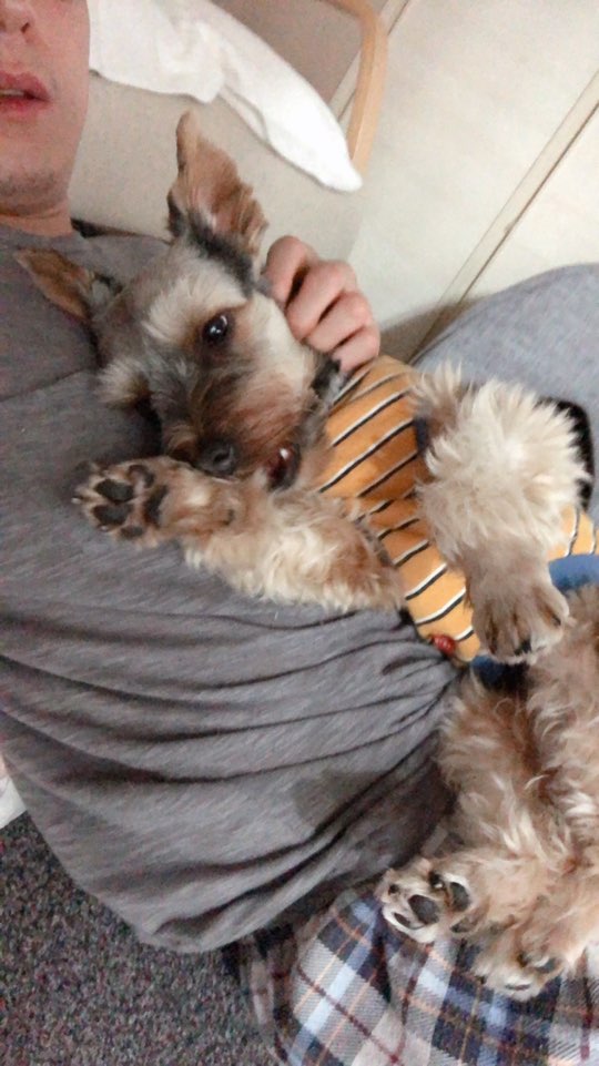 (구 해피)몽구 6개월차... 몽구가 하늘나라에 갔습니다  슬픈소식전해드립니다... 