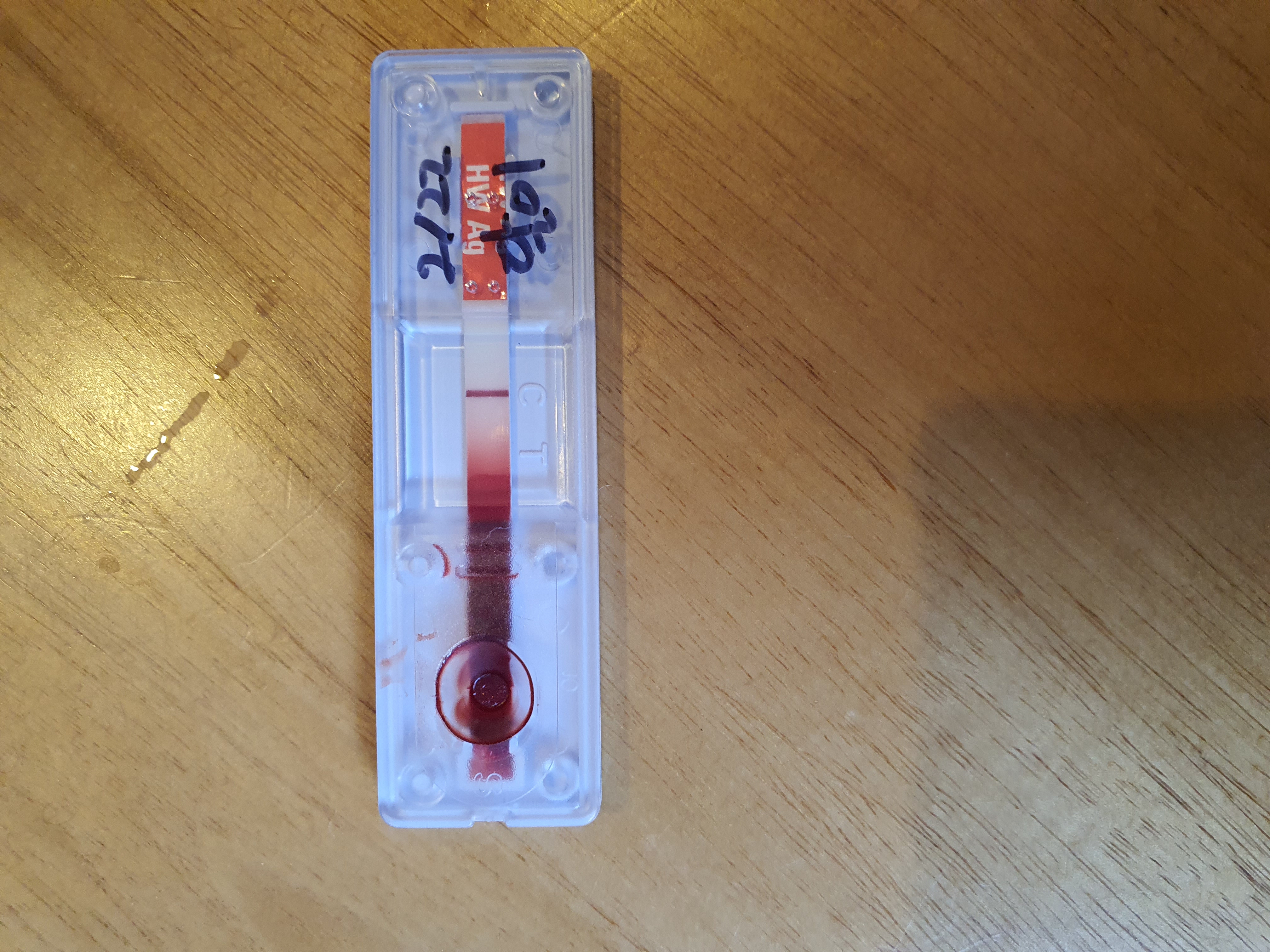 달이(고양-22 다오) 입니다