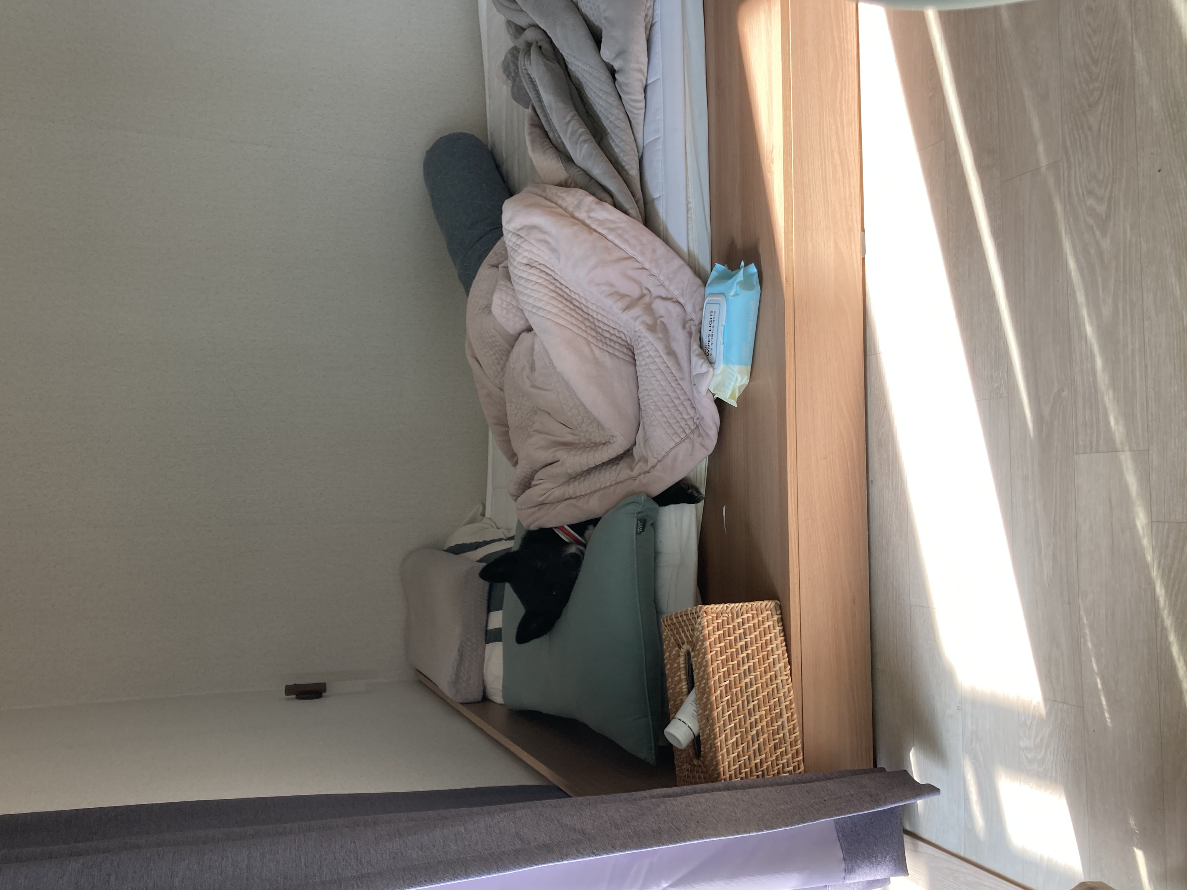 금까 소식입니다