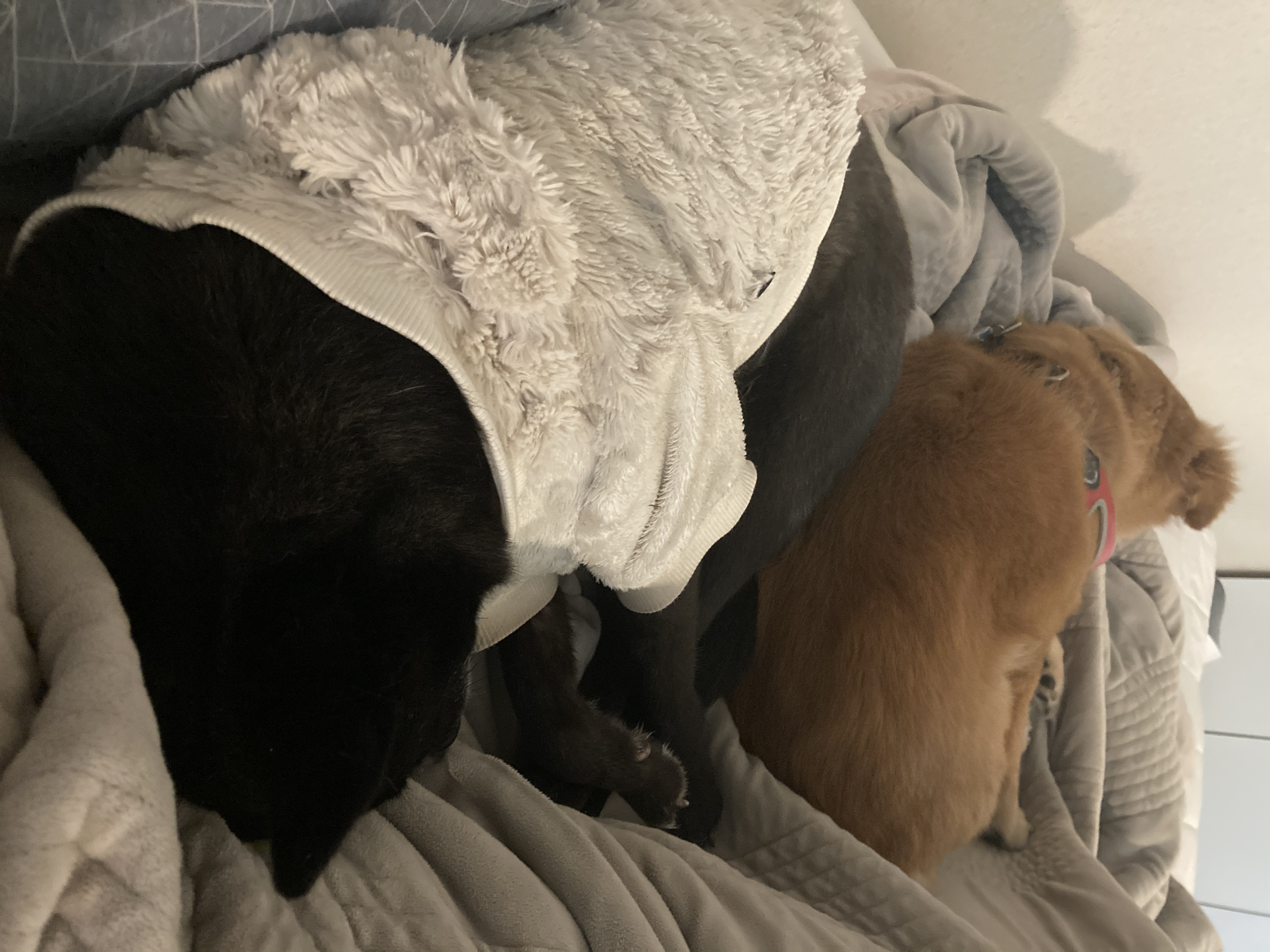 금까 소식입니다