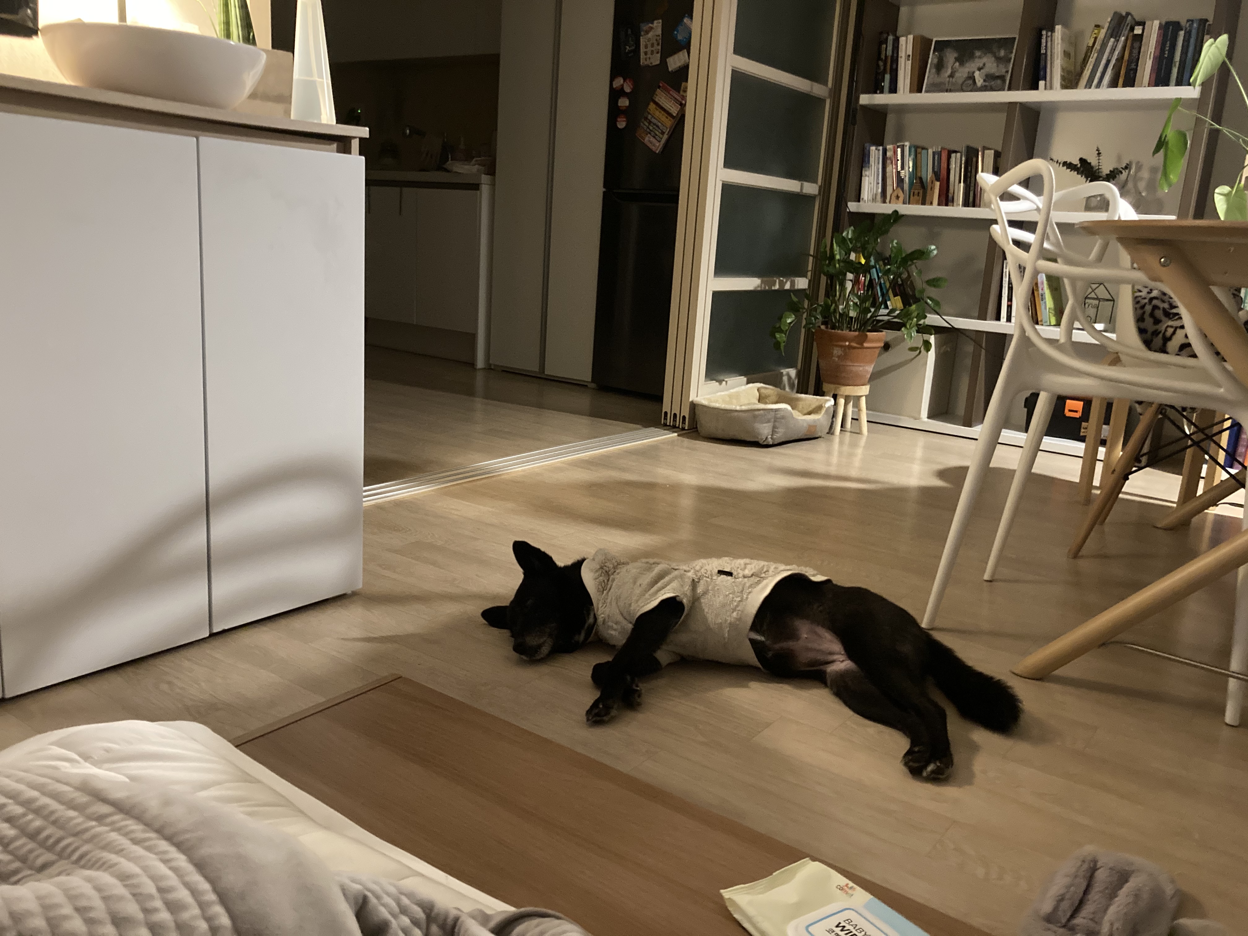 금까 소식입니다