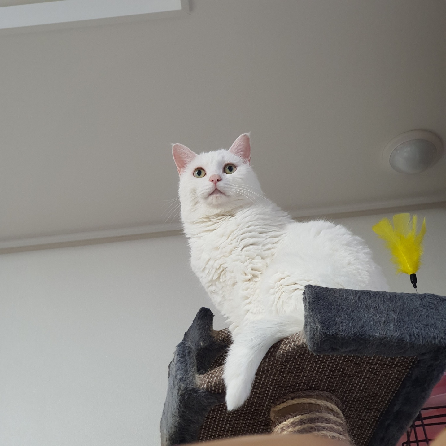 뽈이 소식 4년 만에 전하네요