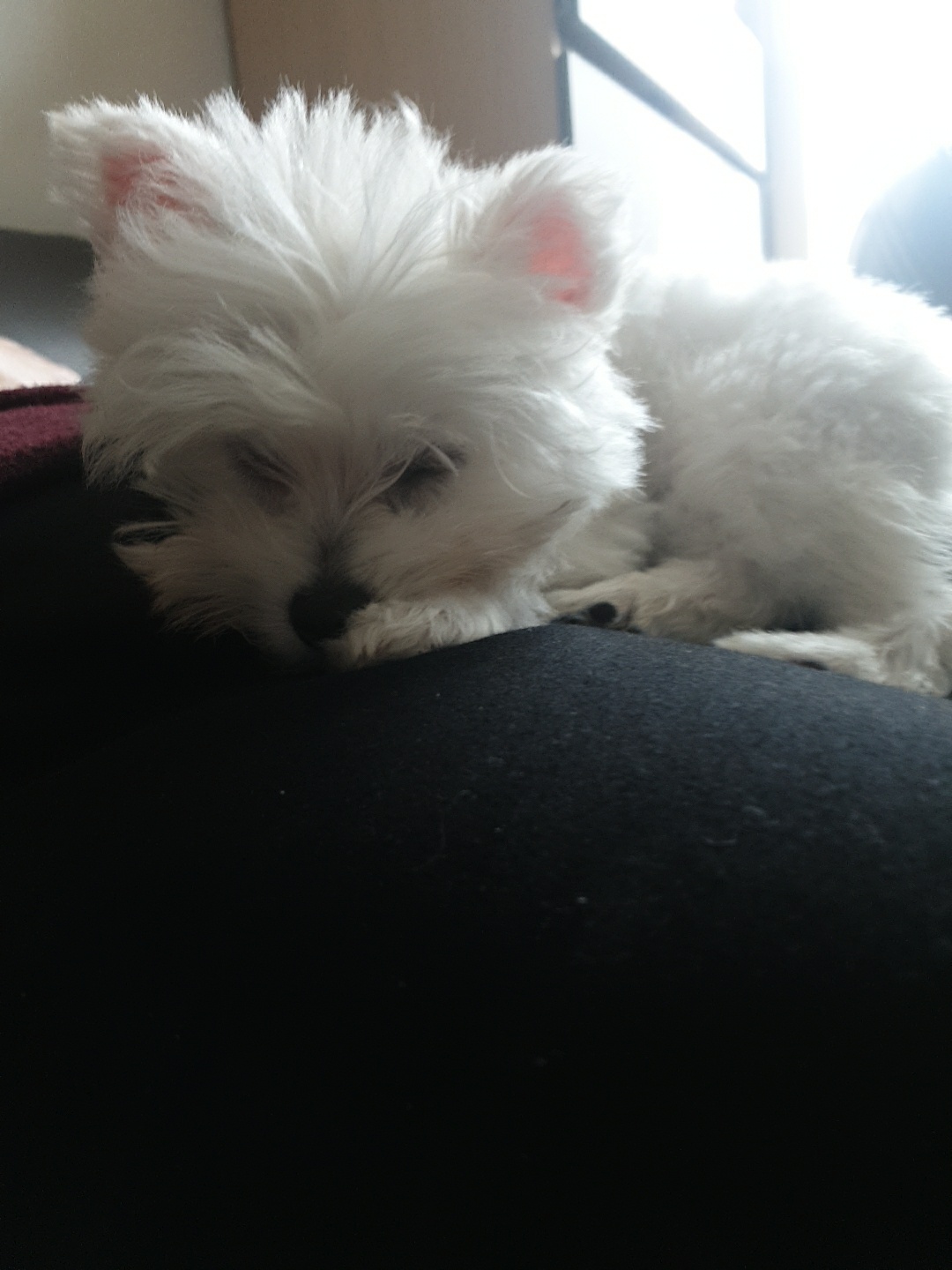 곤지암 그오(봄이) 1차 첫 후기입니다~!