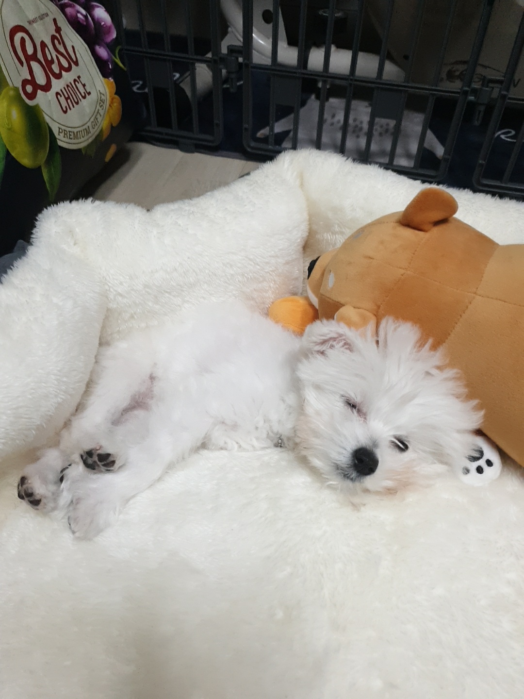 곤지암 그오(봄이) 1차 첫 후기입니다~!