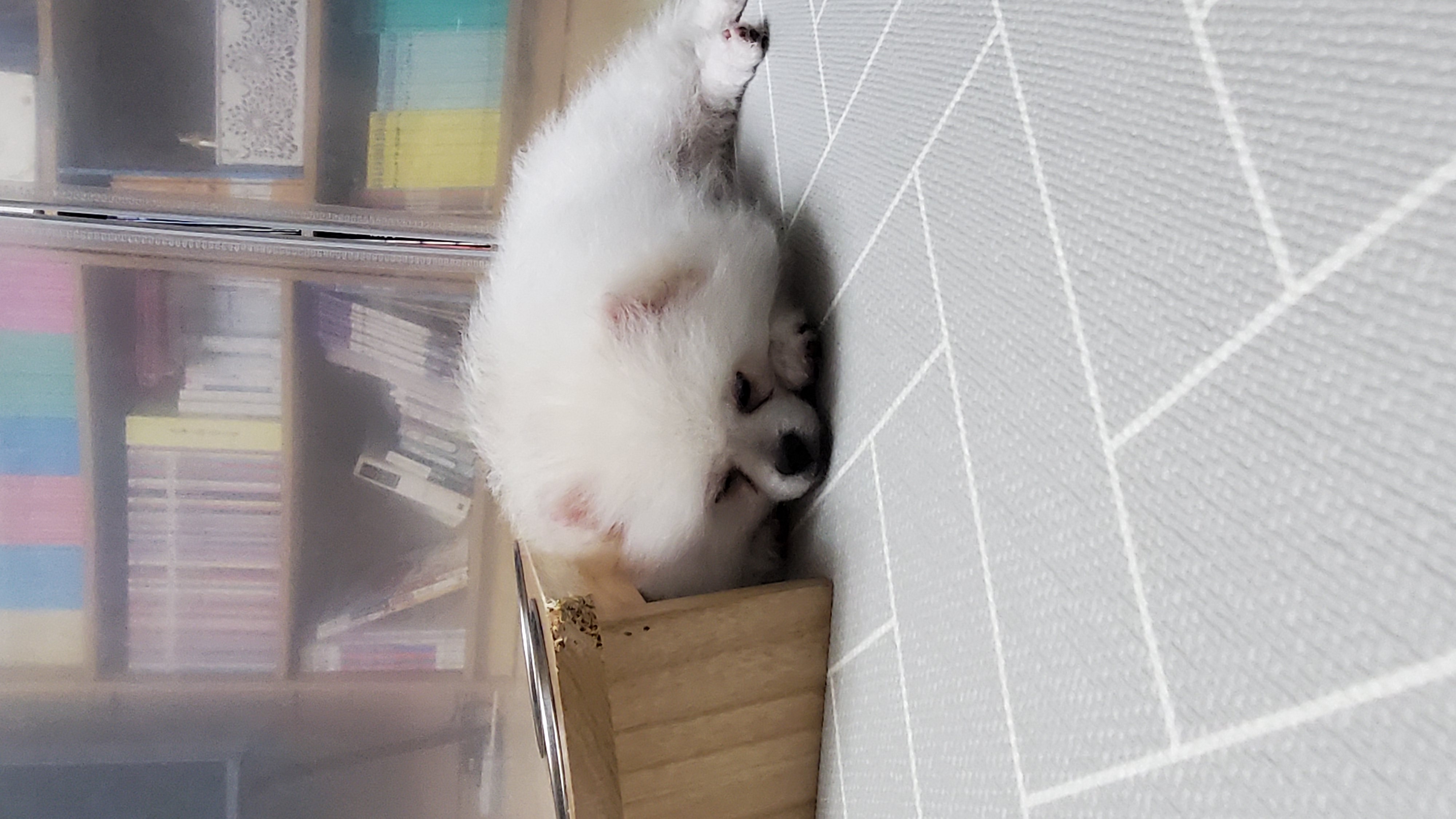 곤지암 꾸일이 적응기