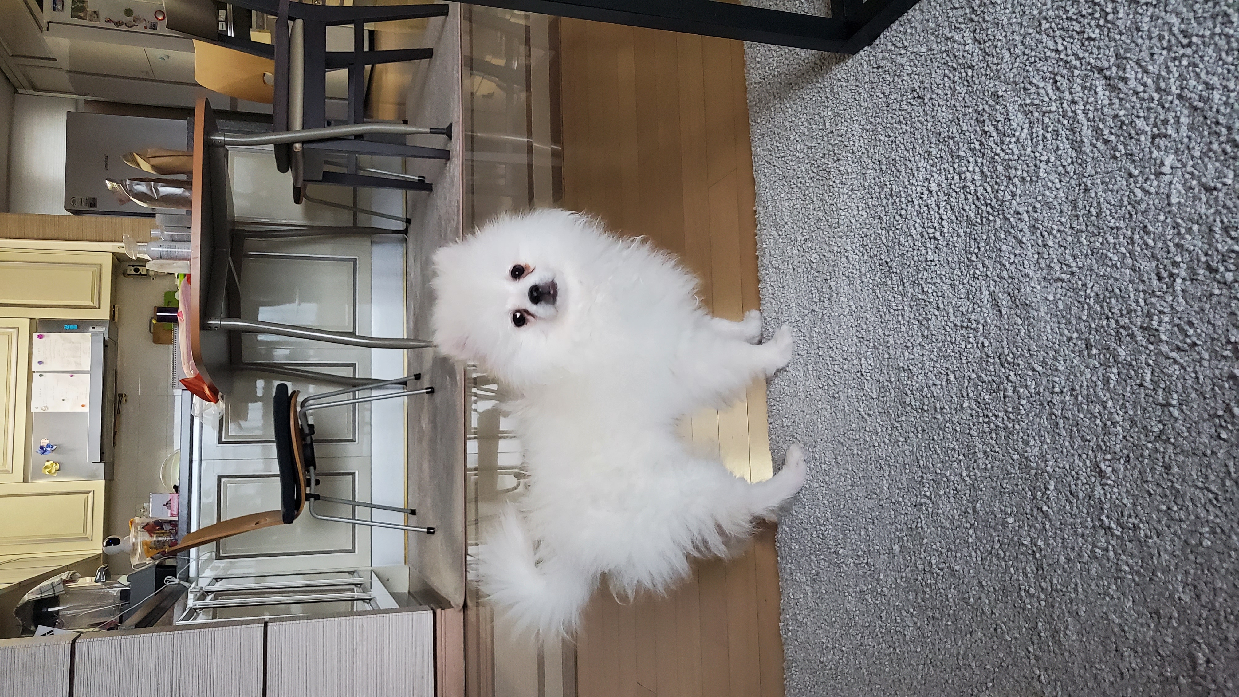 곤지암 꾸일이 적응기