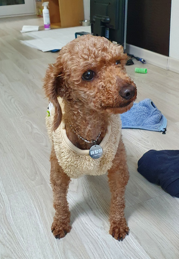 하루(해랑이)의 보름 동안의 후기를 올려드립니다.