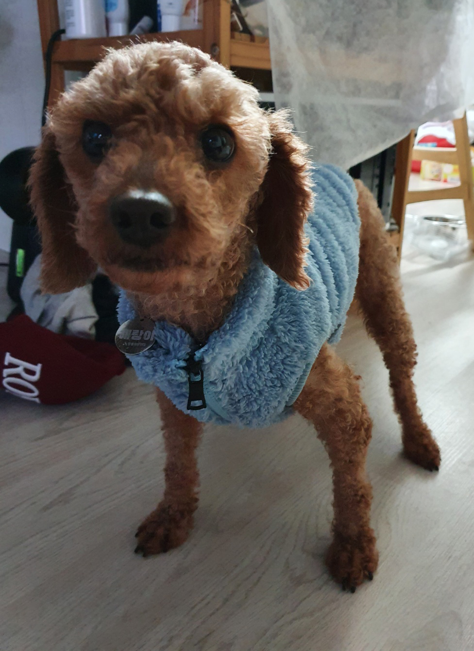 하루(해랑이)의 보름 동안의 후기를 올려드립니다.