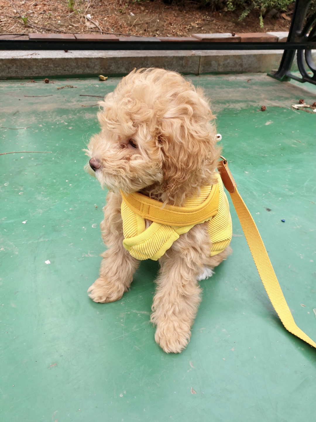 랑이(곤지암 해사) 3주차