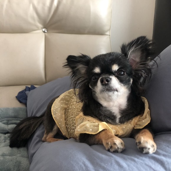 구 드림 현 아담이와 2주년이에요~!