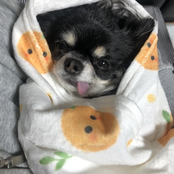 구 드림 현 아담이와 2주년이에요~!