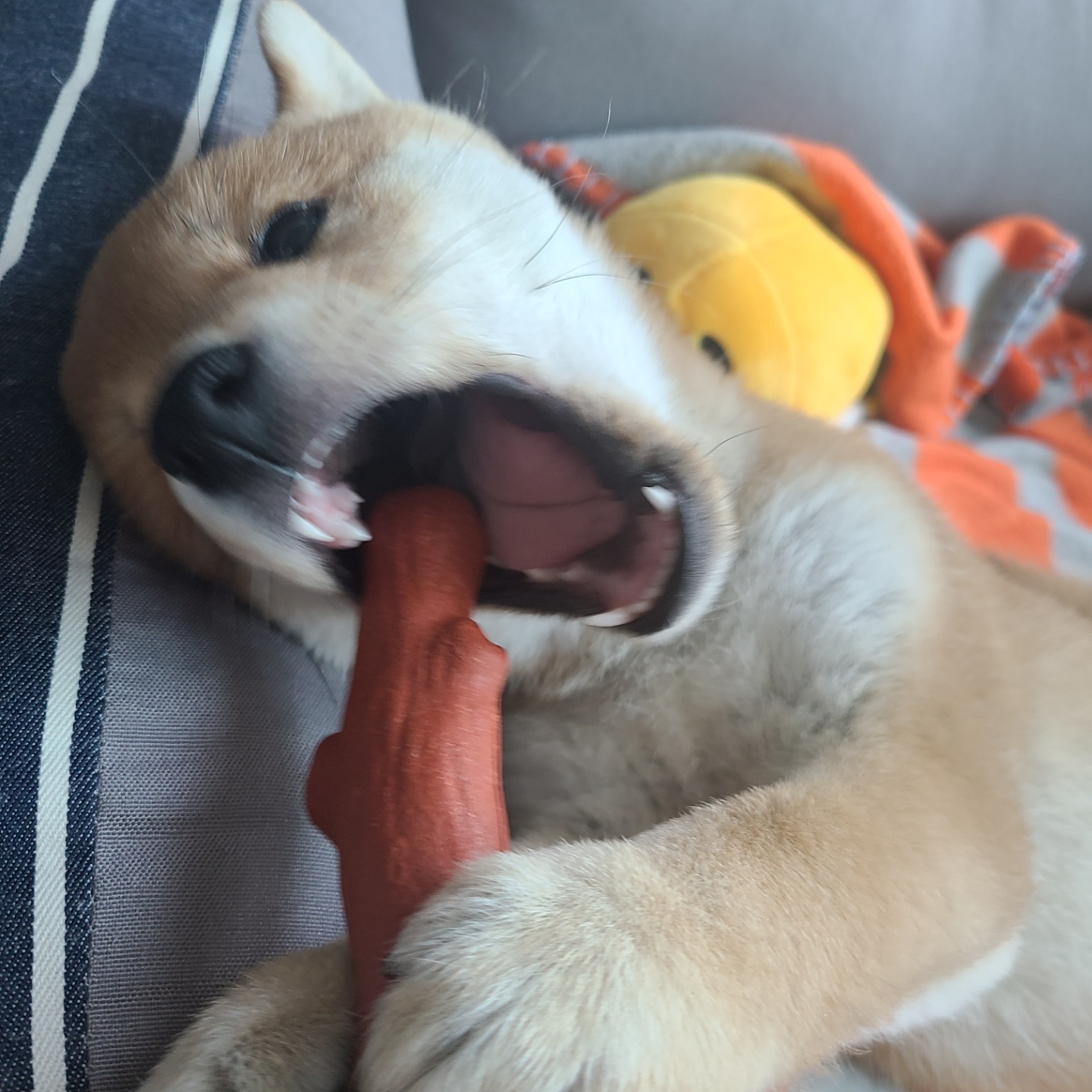 곤지암 세시 1주차 ❤