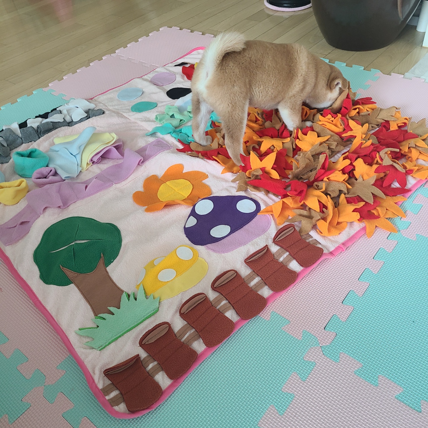 곤지암 세시 1주차 ❤