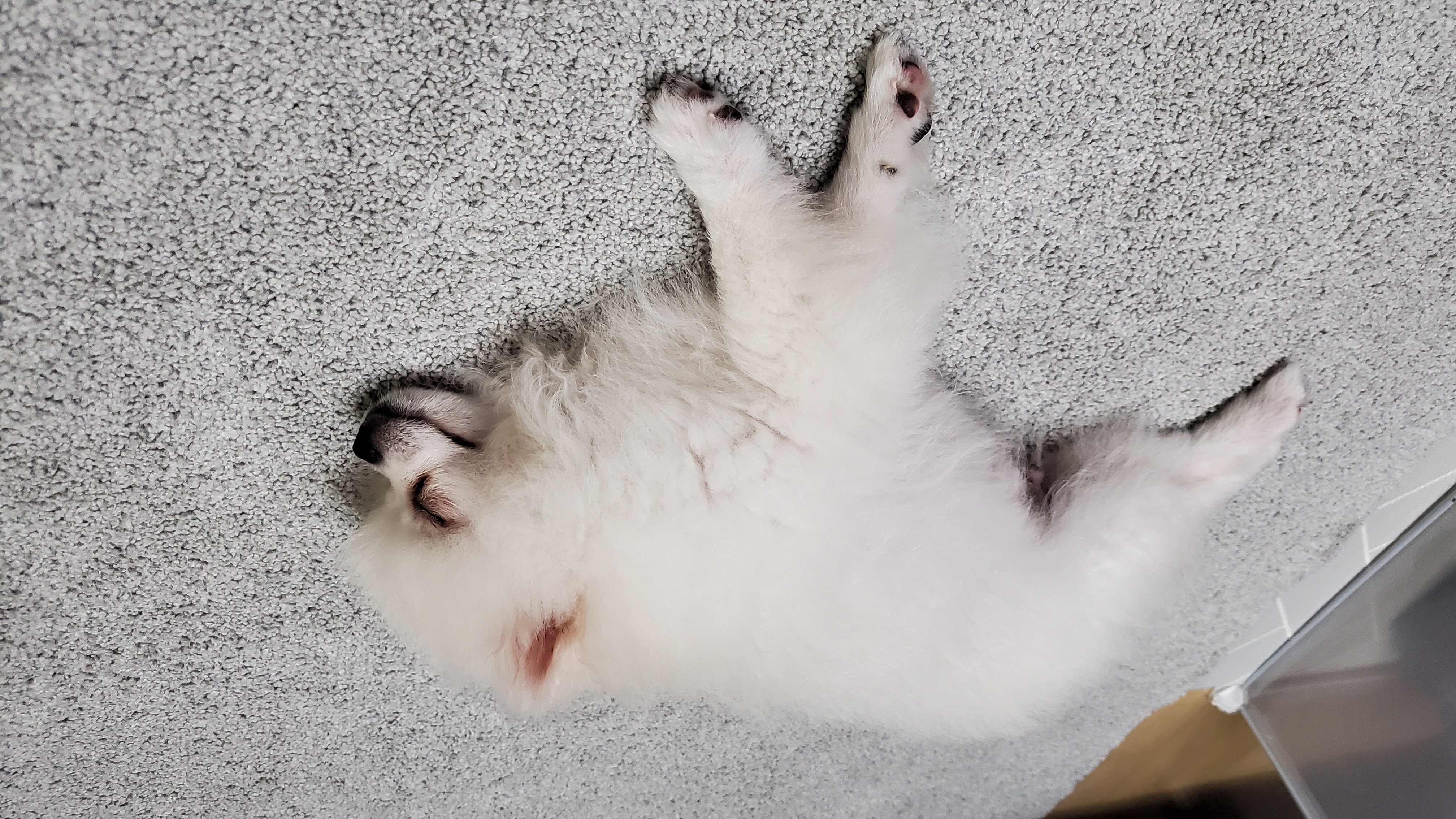 곤지암 꾸일이 적응기