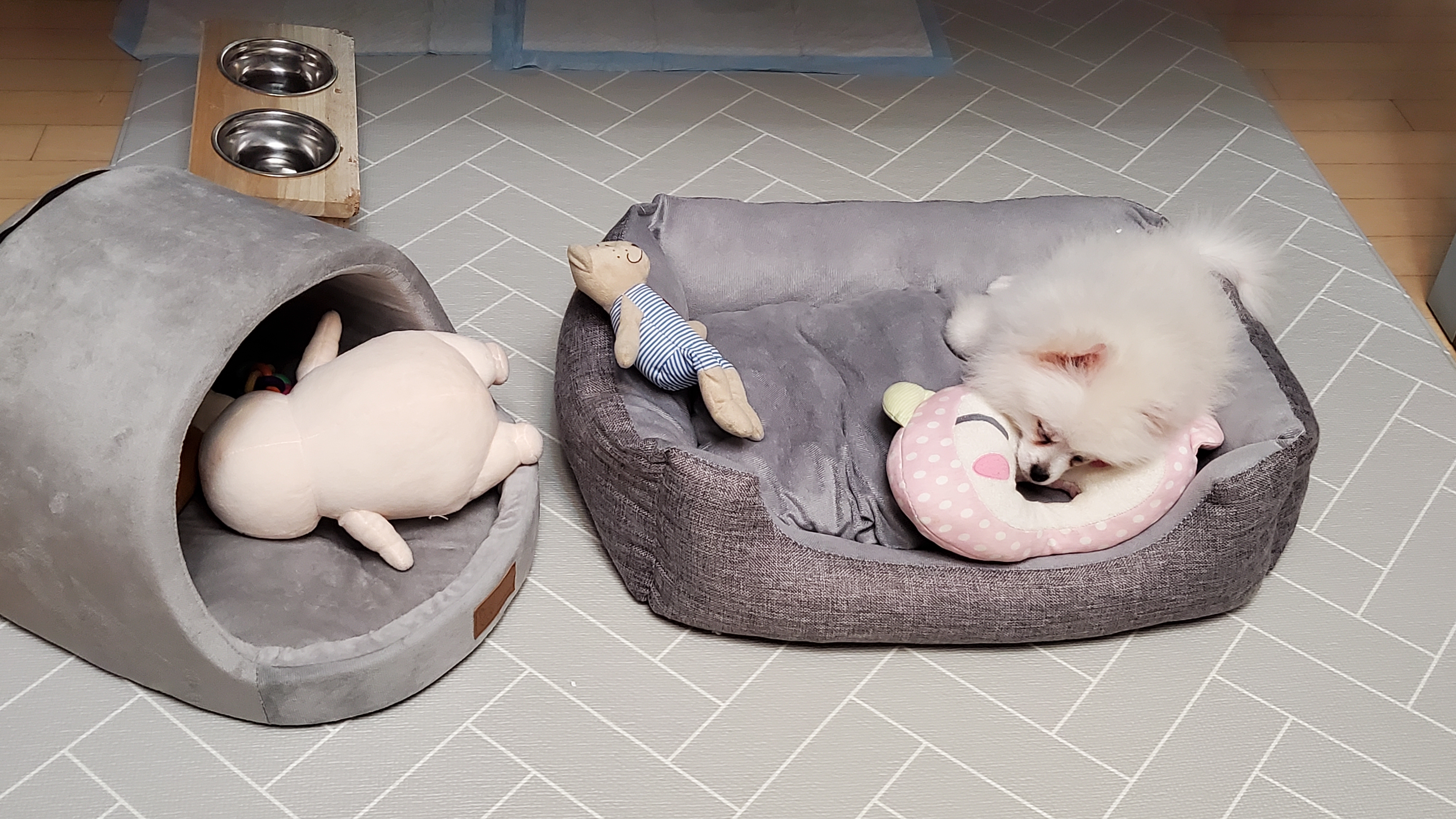 곤지암 꾸일이 적응기