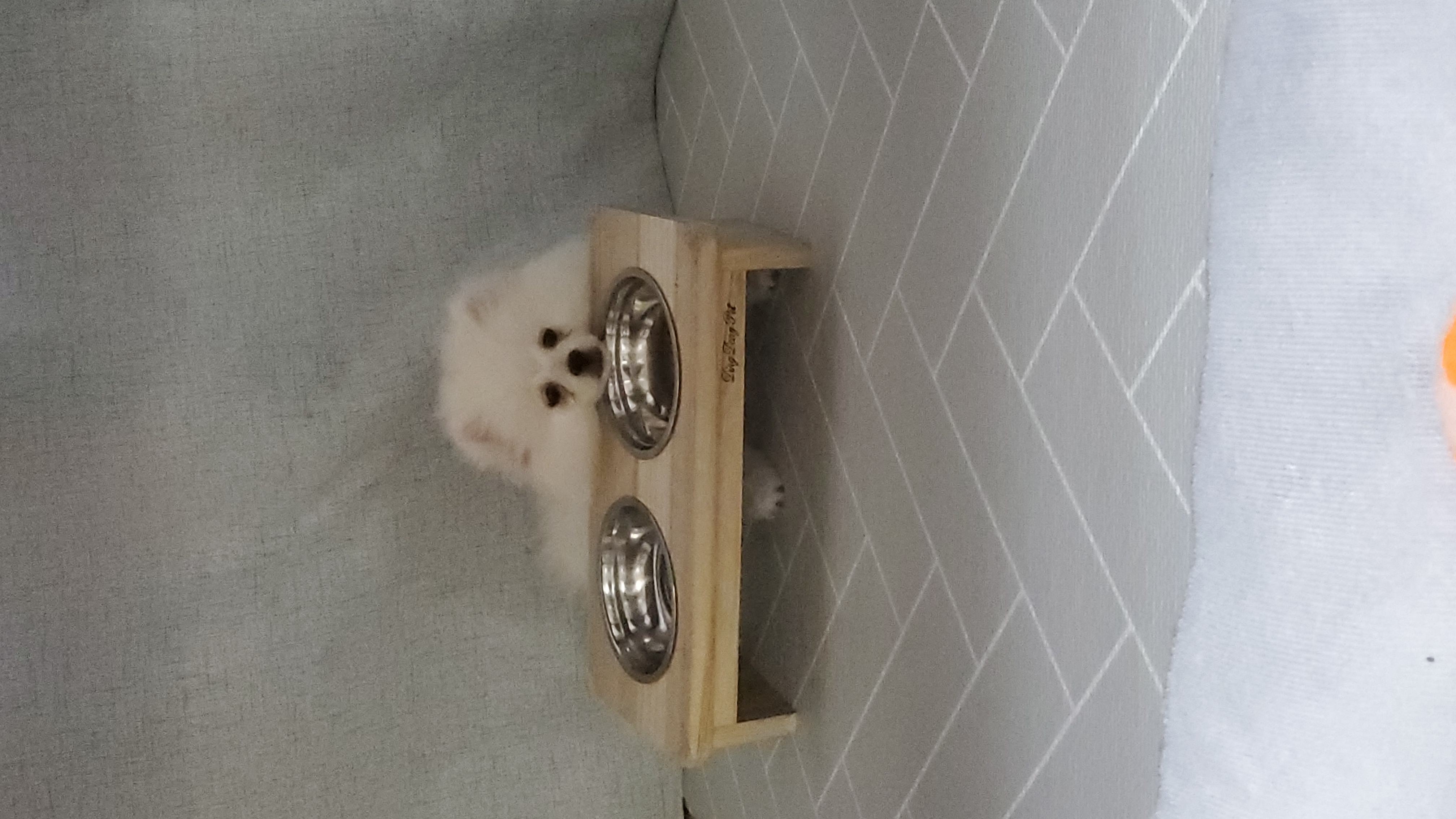 곤지암 꾸일이 적응기