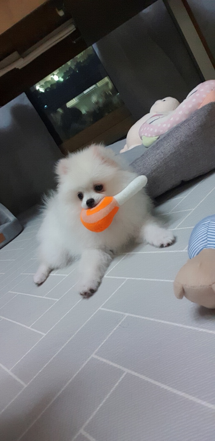 곤지암 꾸일이 적응기