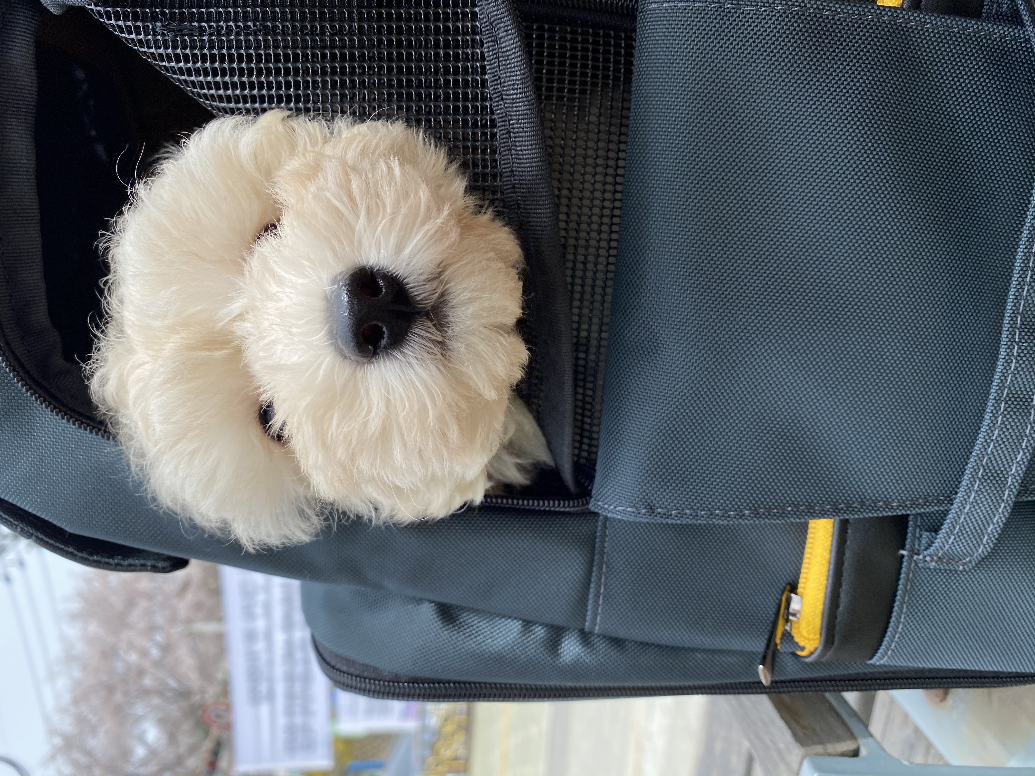 심쿵이네 일주일!(곤지암_연지)