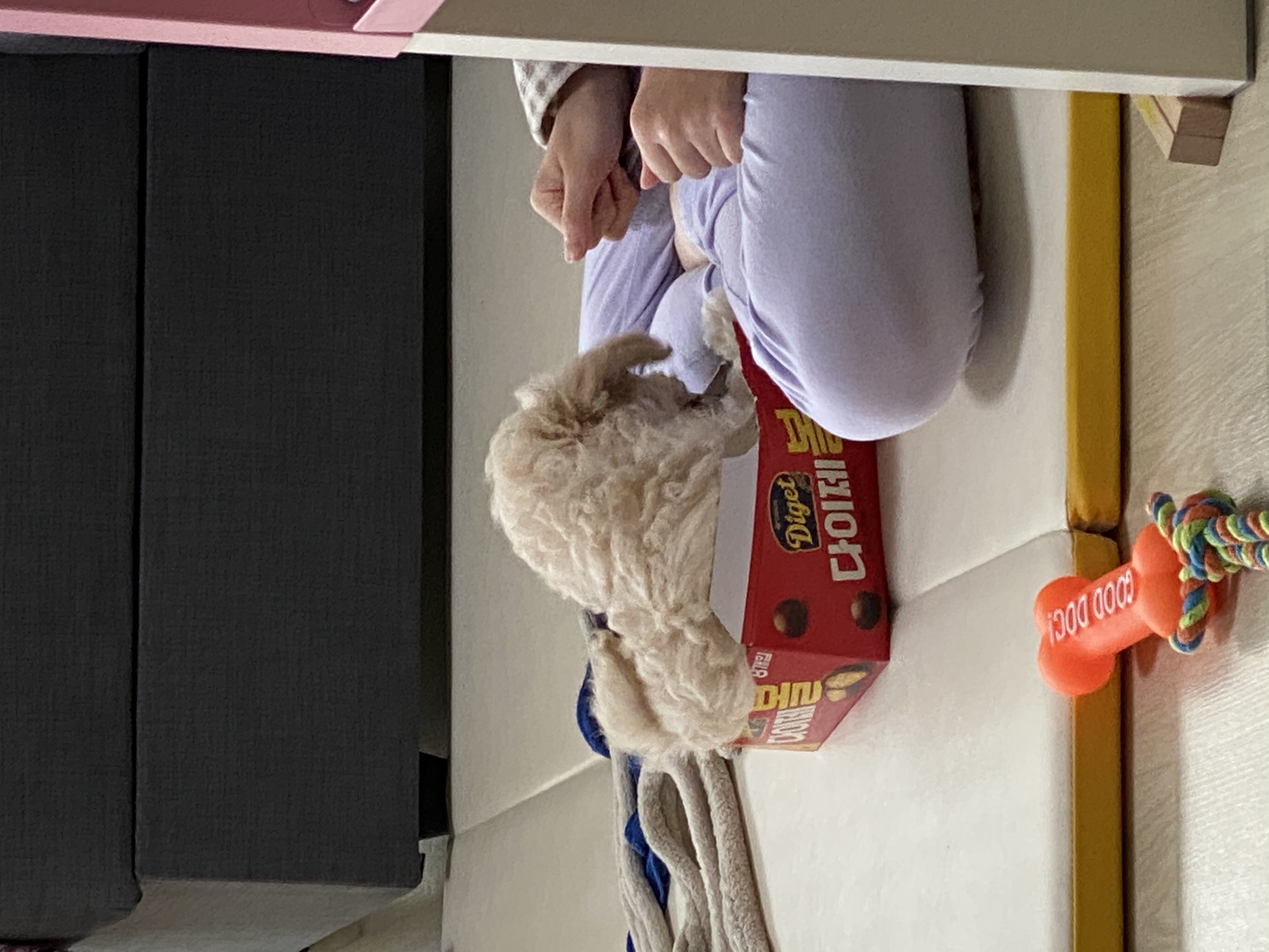 심쿵이네 일주일!(곤지암_연지)