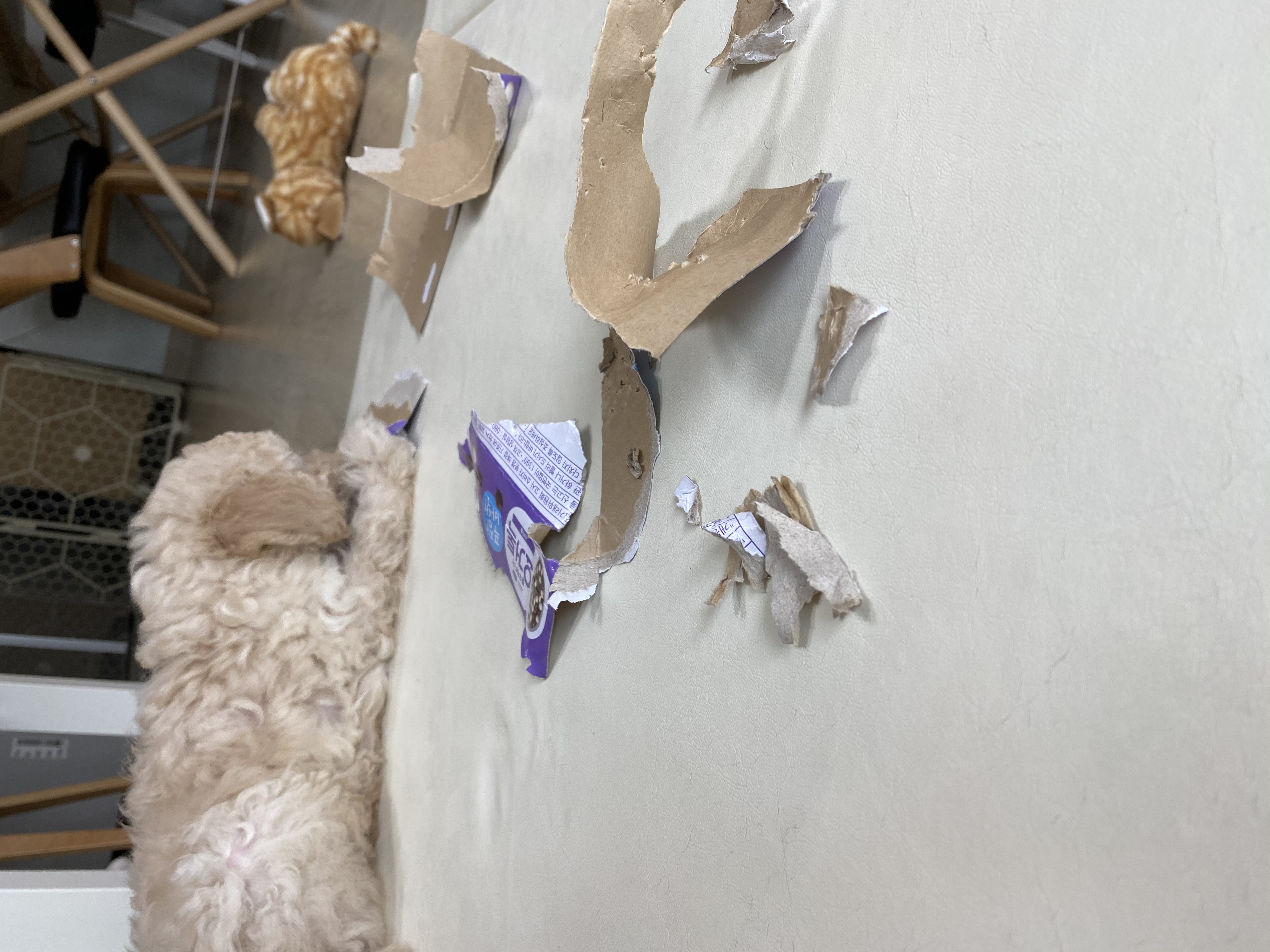 심쿵이네 일주일!(곤지암_연지)