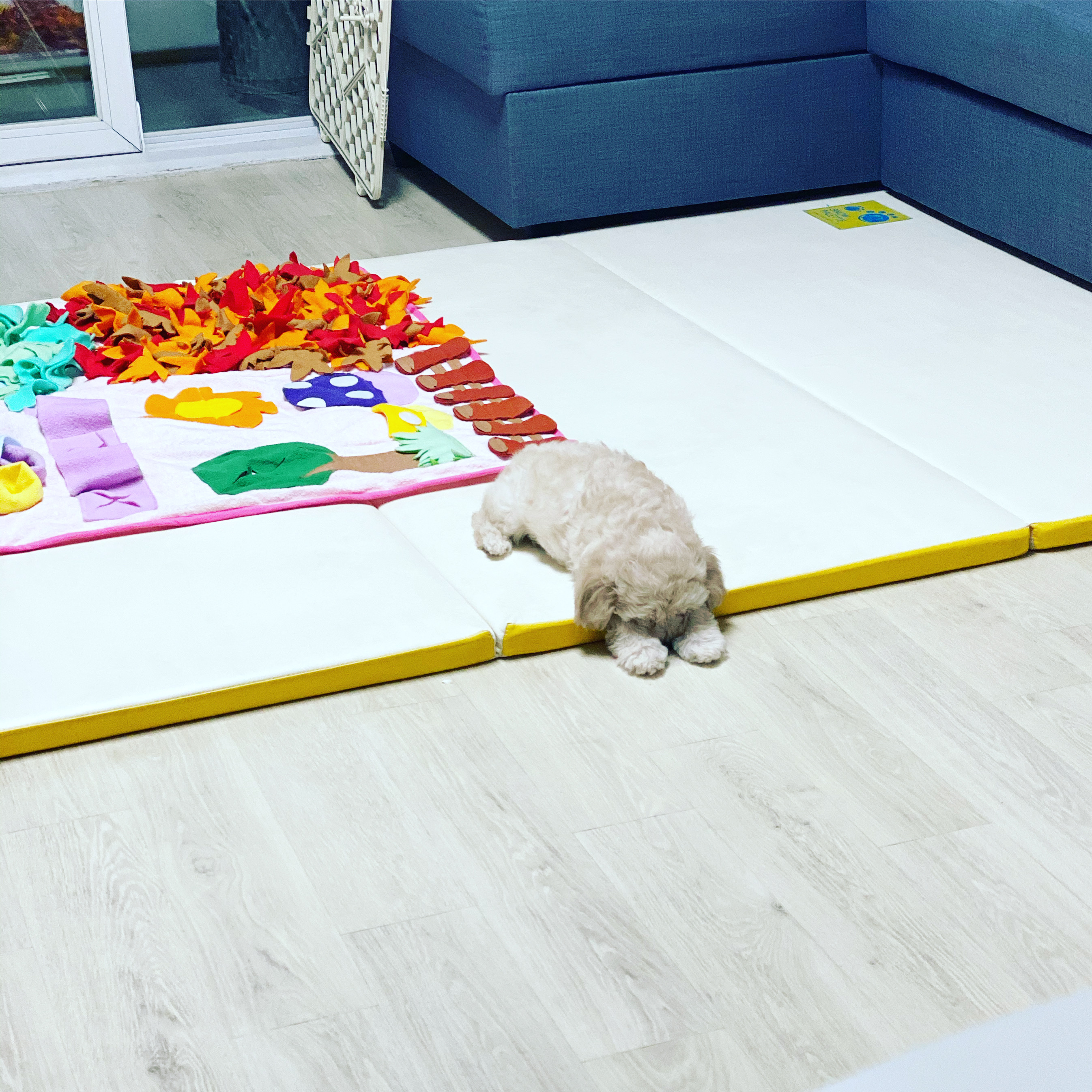 심쿵이네 일주일!(곤지암_연지)