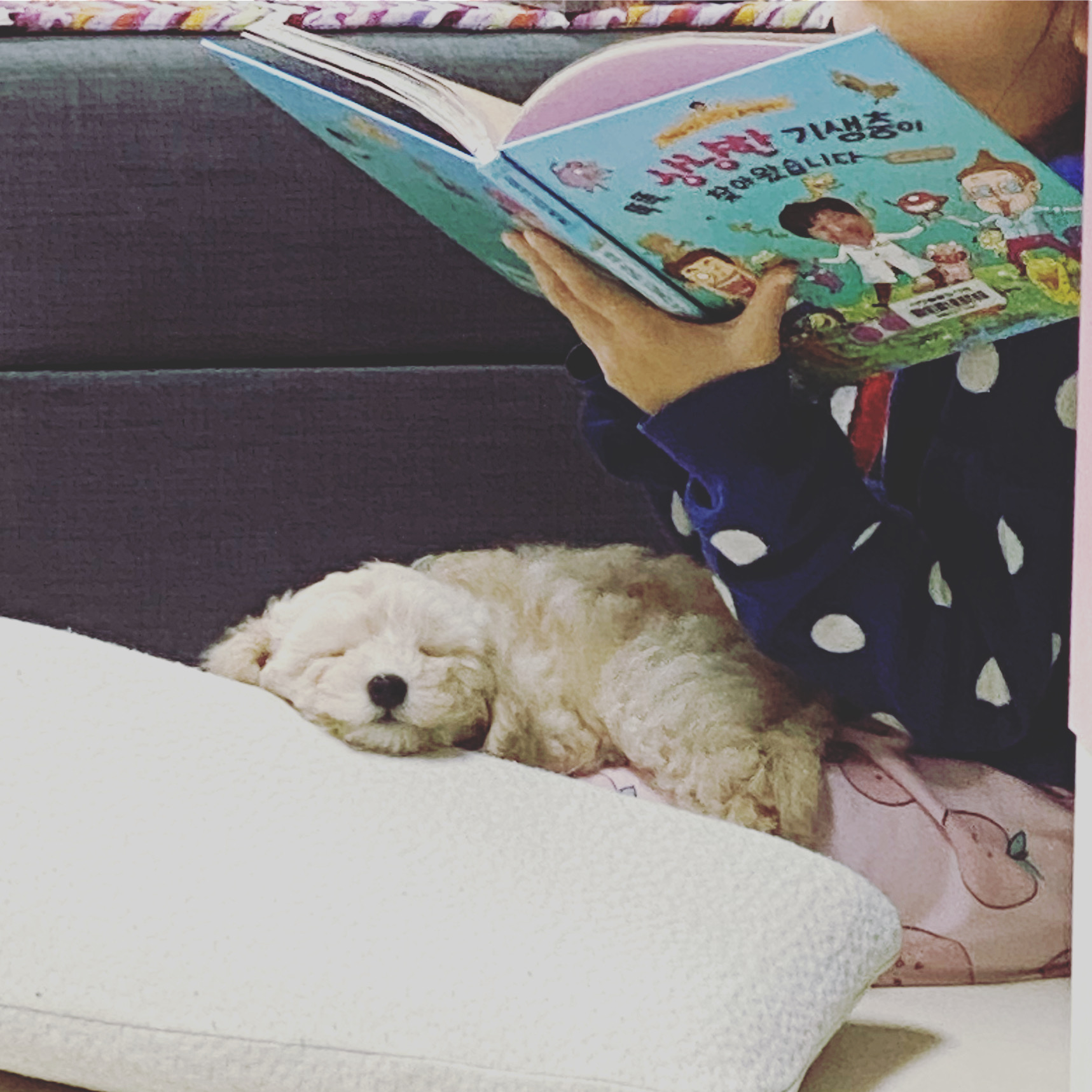 심쿵이네 일주일!(곤지암_연지)