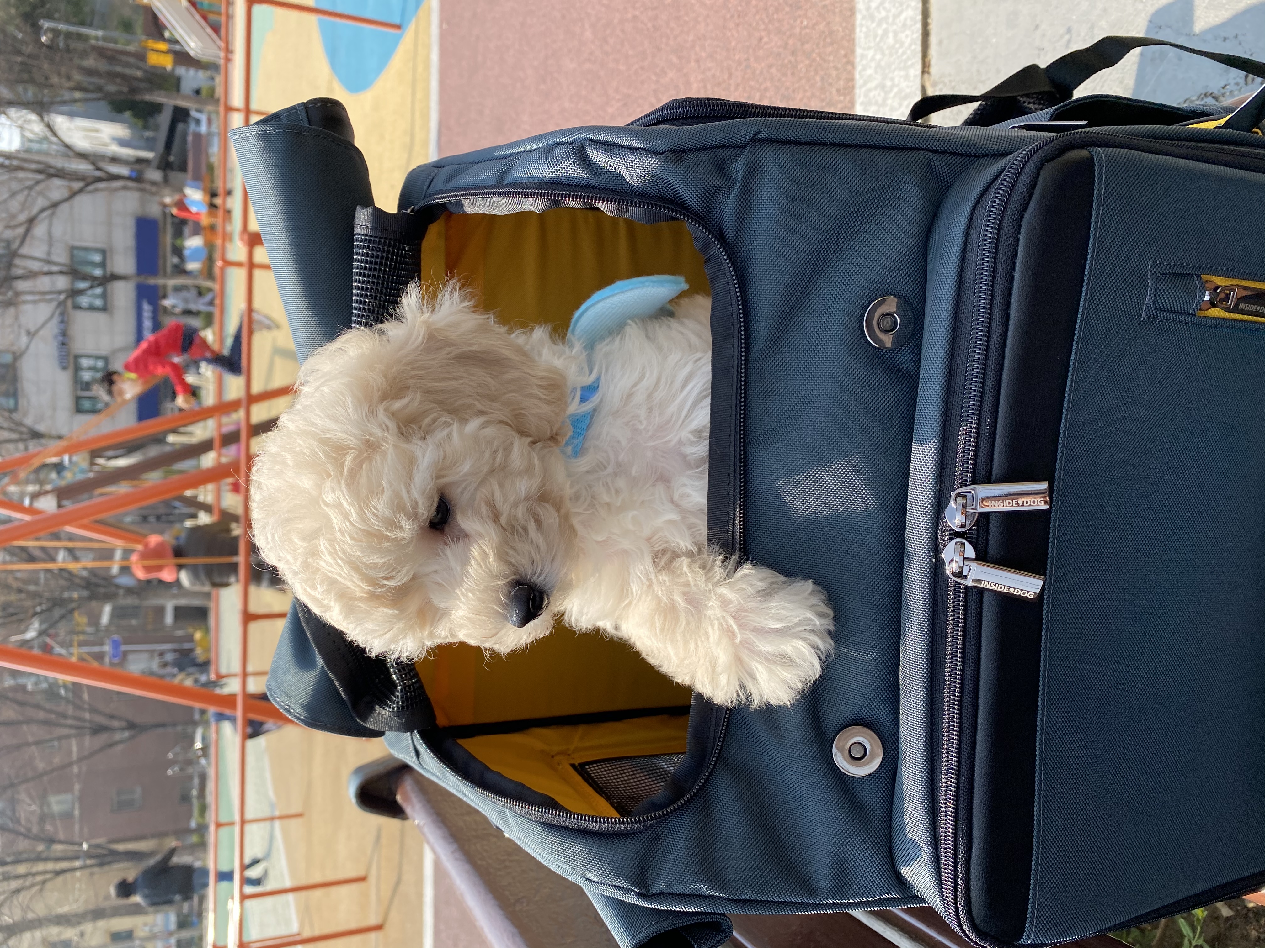 심쿵이네 일주일!(곤지암_연지)