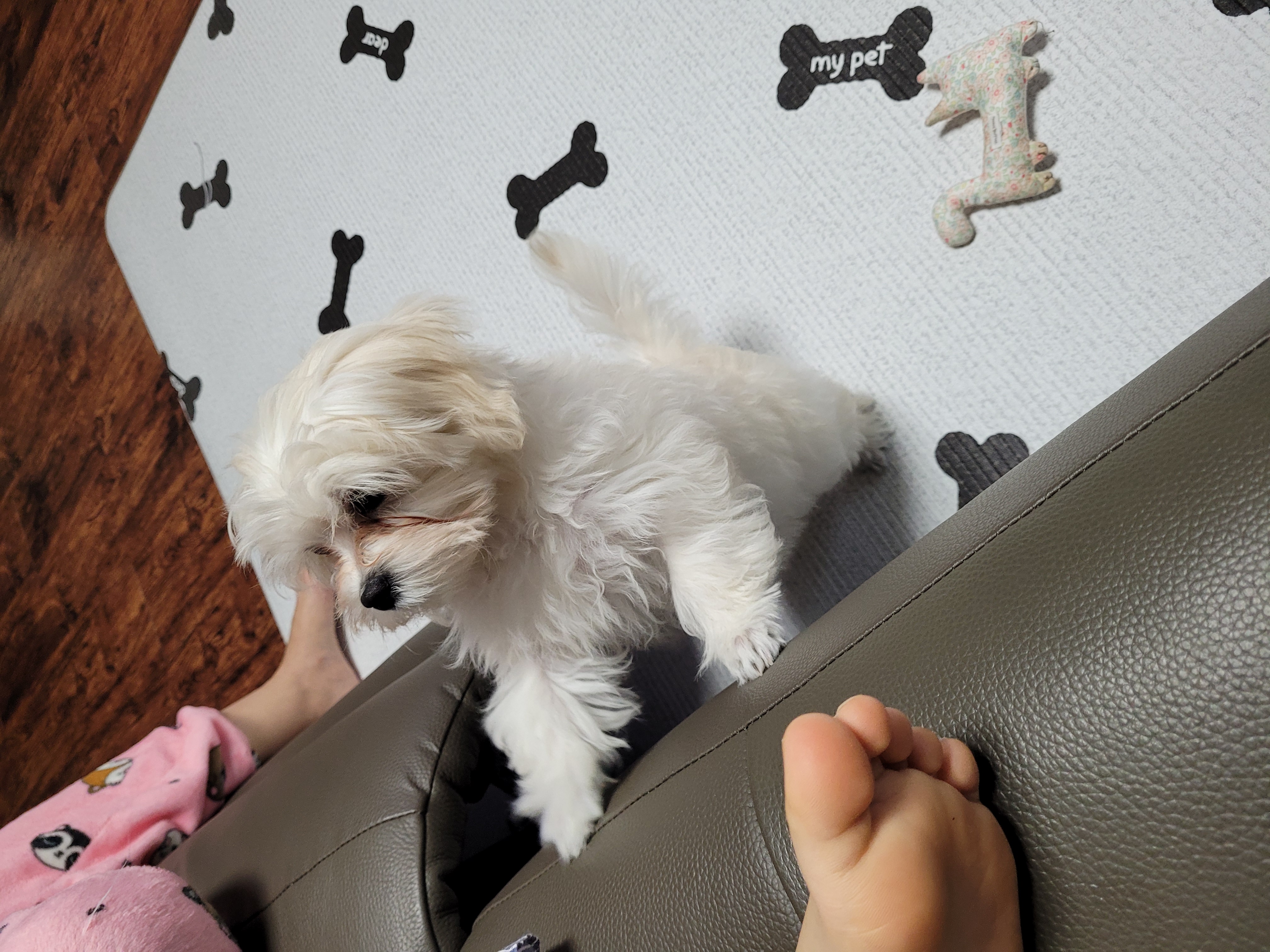 호두(곤지암_청이) 잘크고있어요~