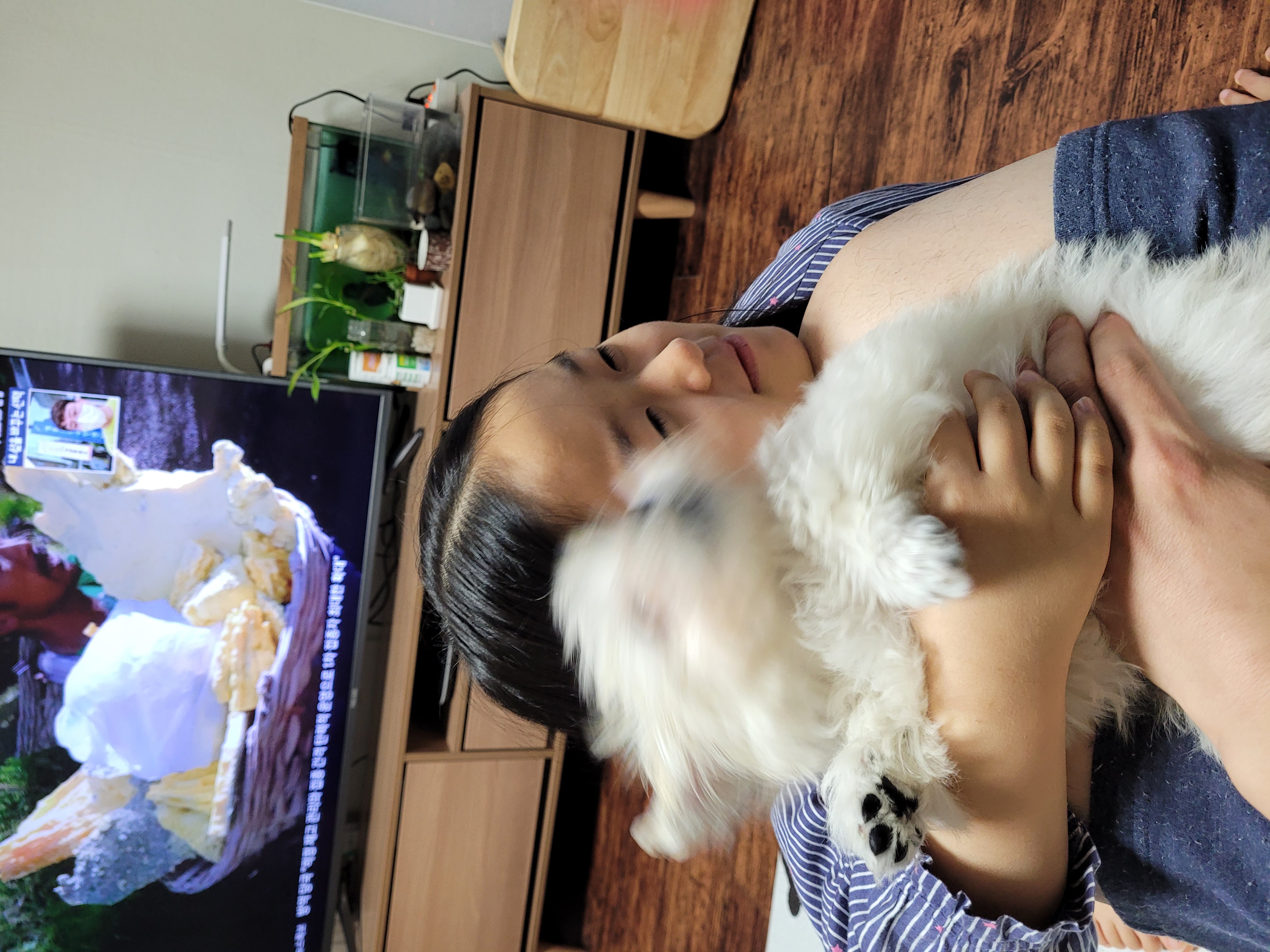 호두(곤지암_청이) 잘크고있어요~