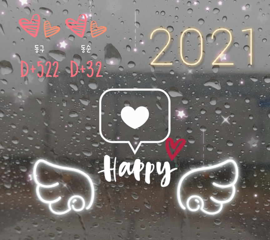 동구네집 동순이(곤지암_치치)