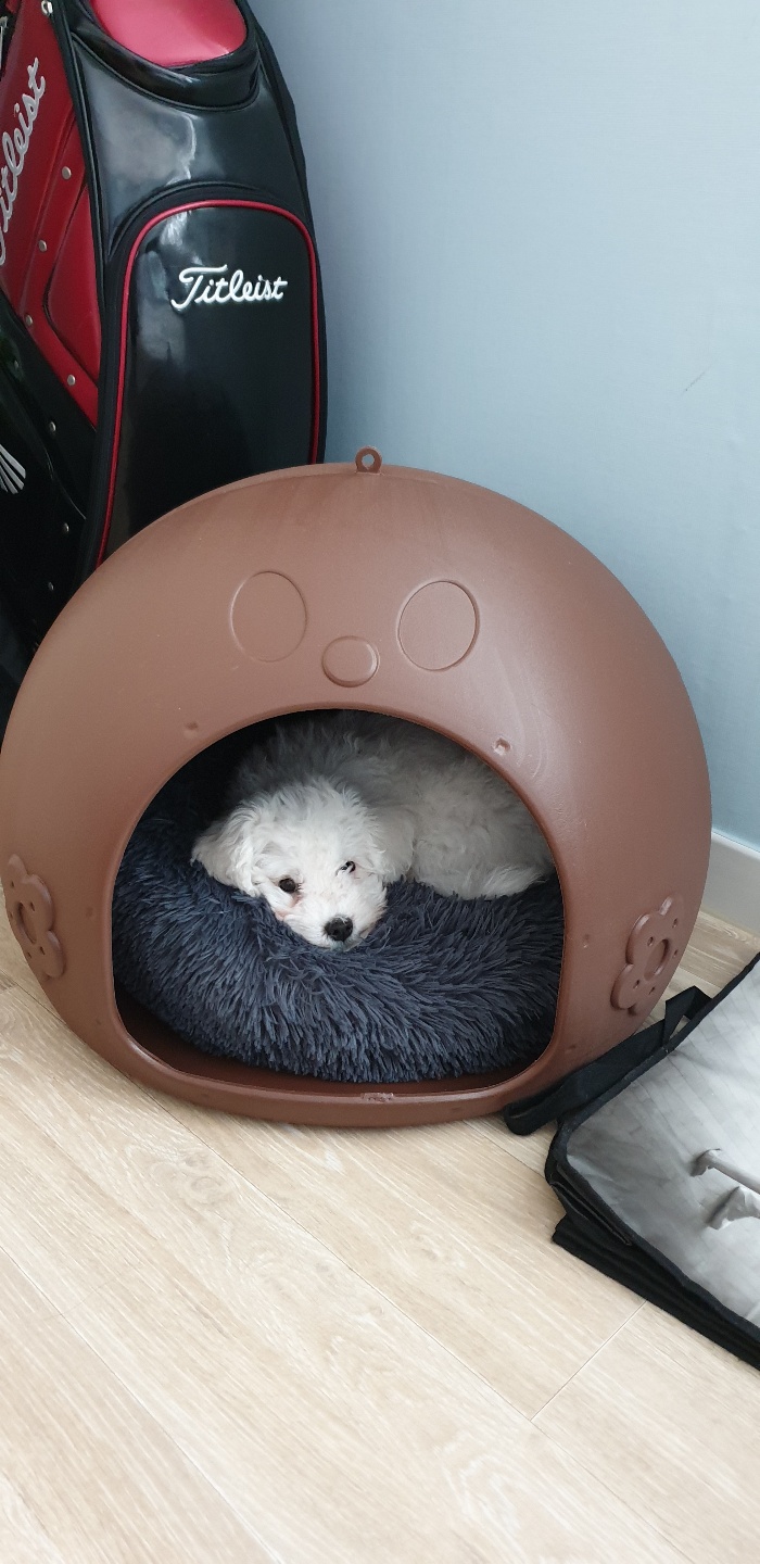 하이 한달 후기