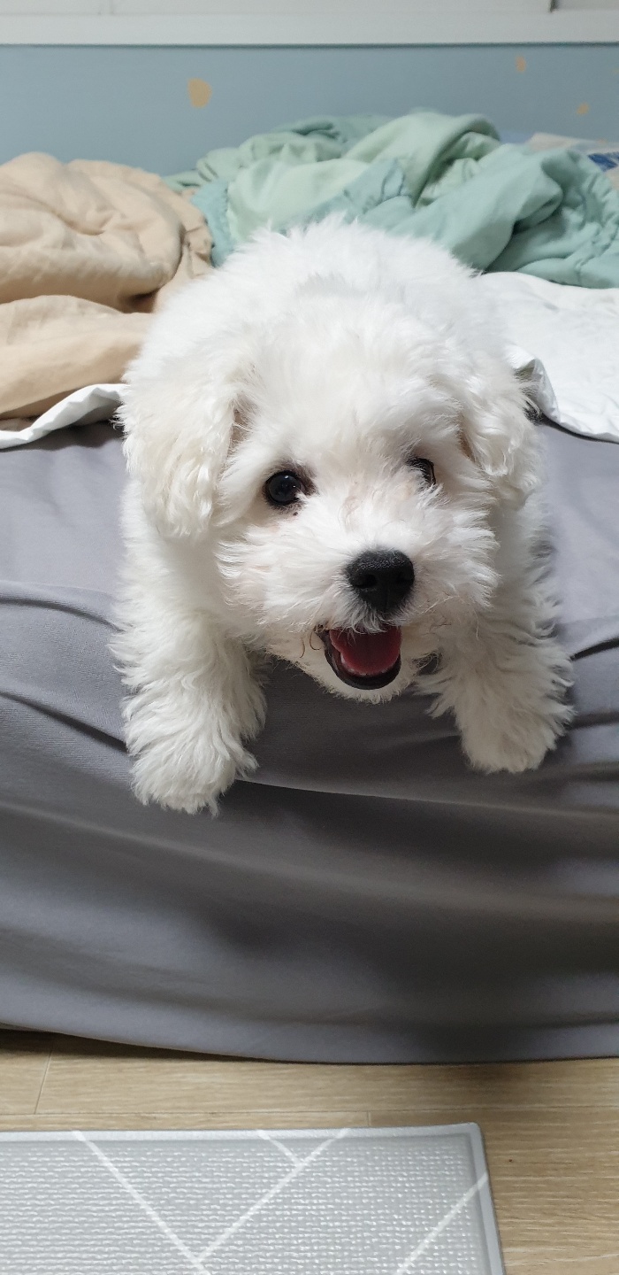 하이 한달 후기