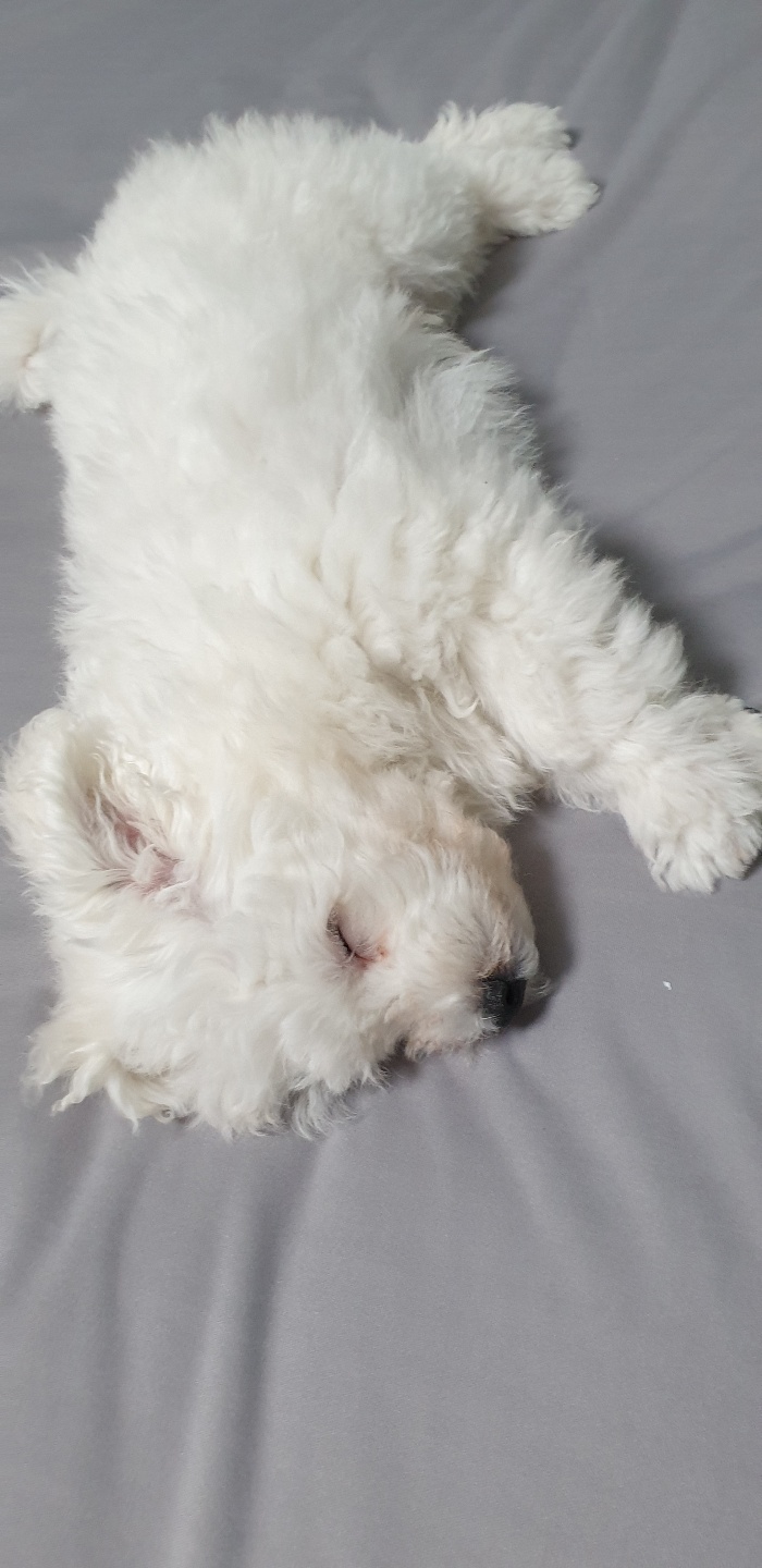 하이 한달 후기