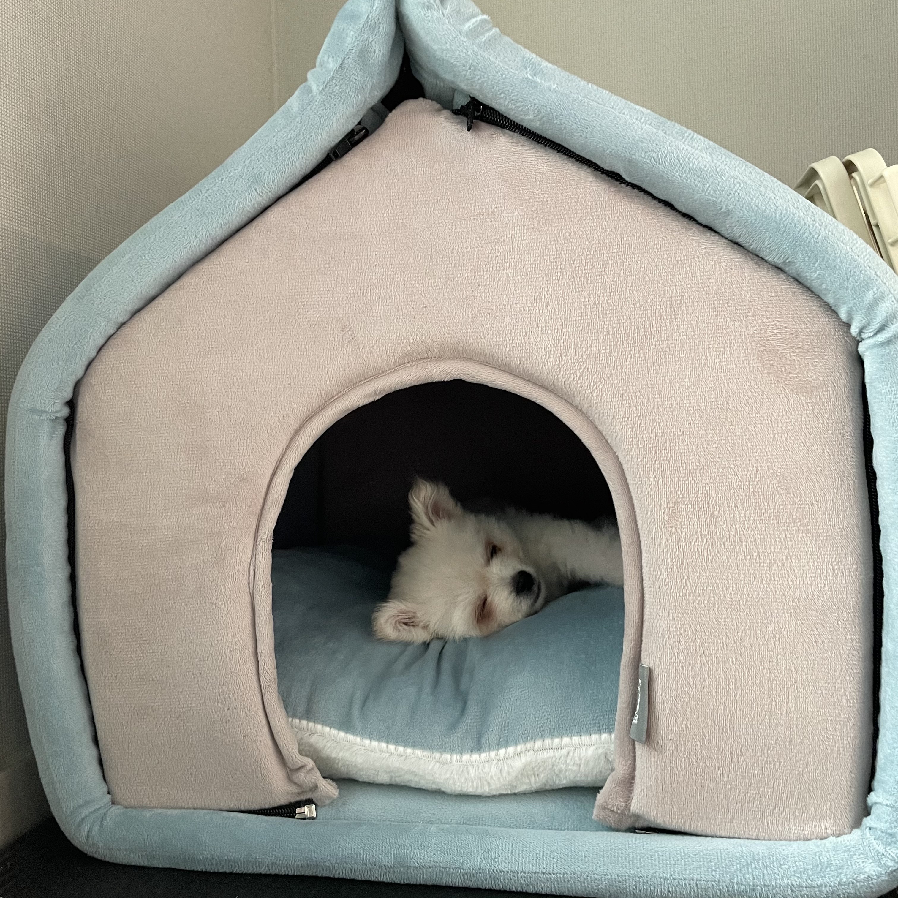 용식이(곤지암 송오)일주일 성장기