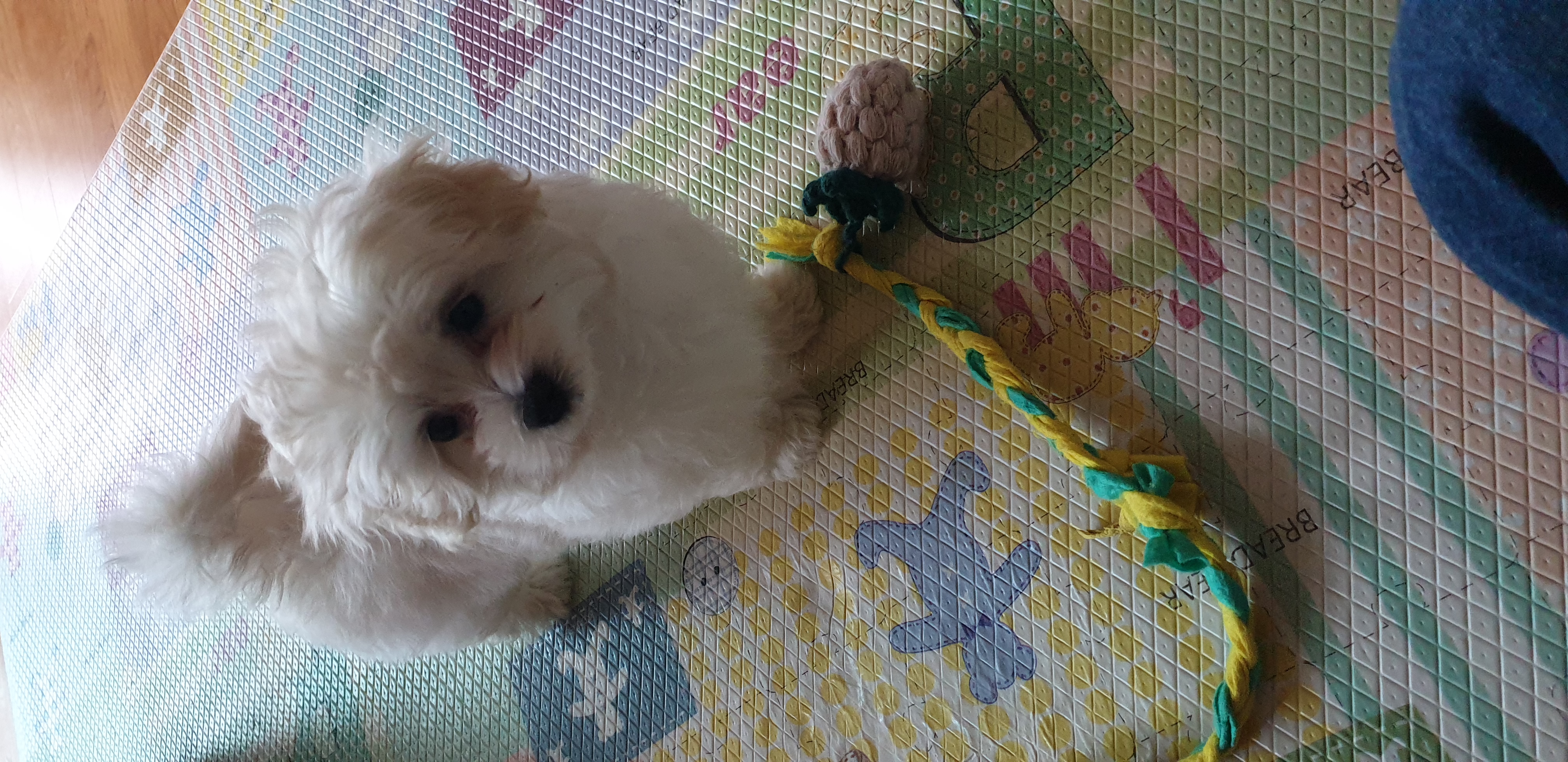 구름이 (곤지암 청일이)한달이나 지났어요