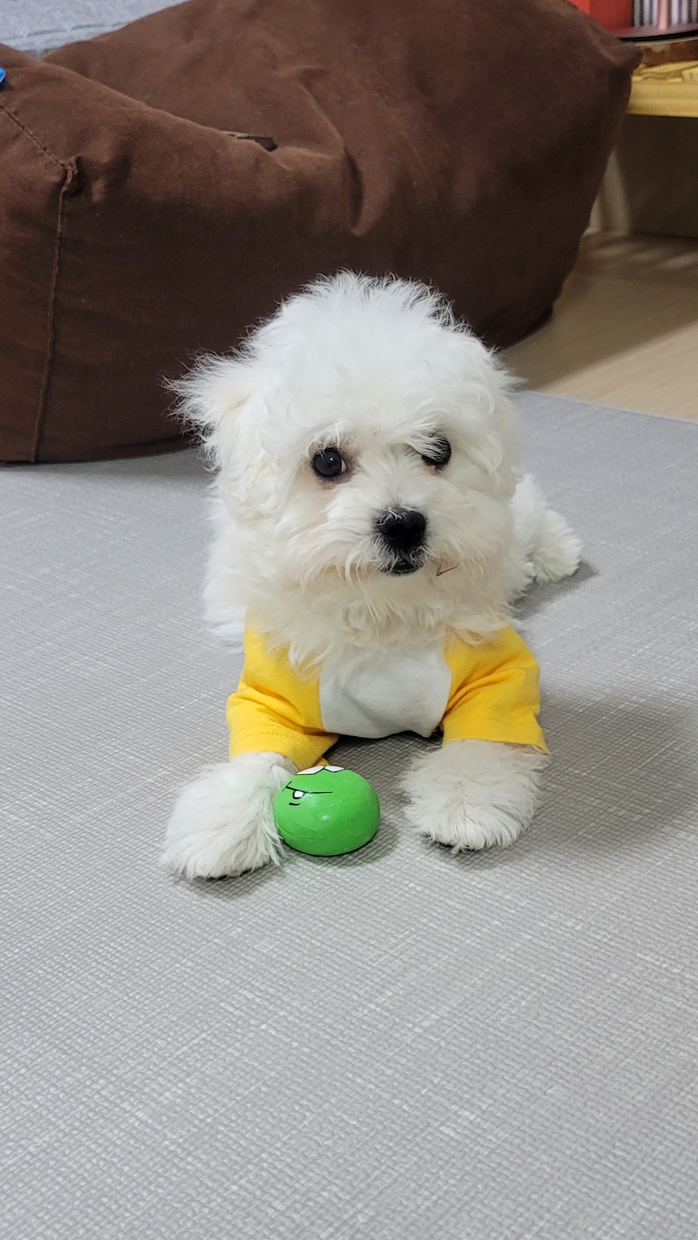 하음(구름)이 하삼(봄)이 소식이에요~